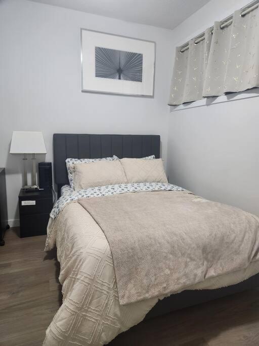 Modern 2 Bedroom Basement Suite at West Edmonton