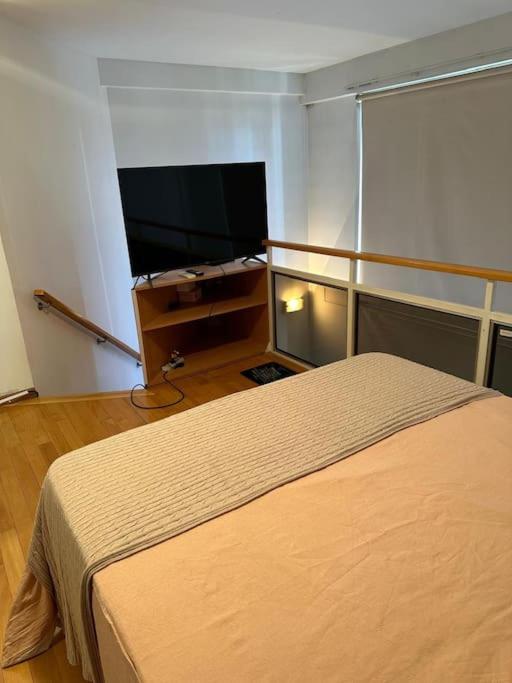 Hermoso Departamento Recoleta