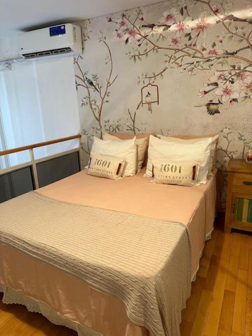 Hermoso Departamento Recoleta