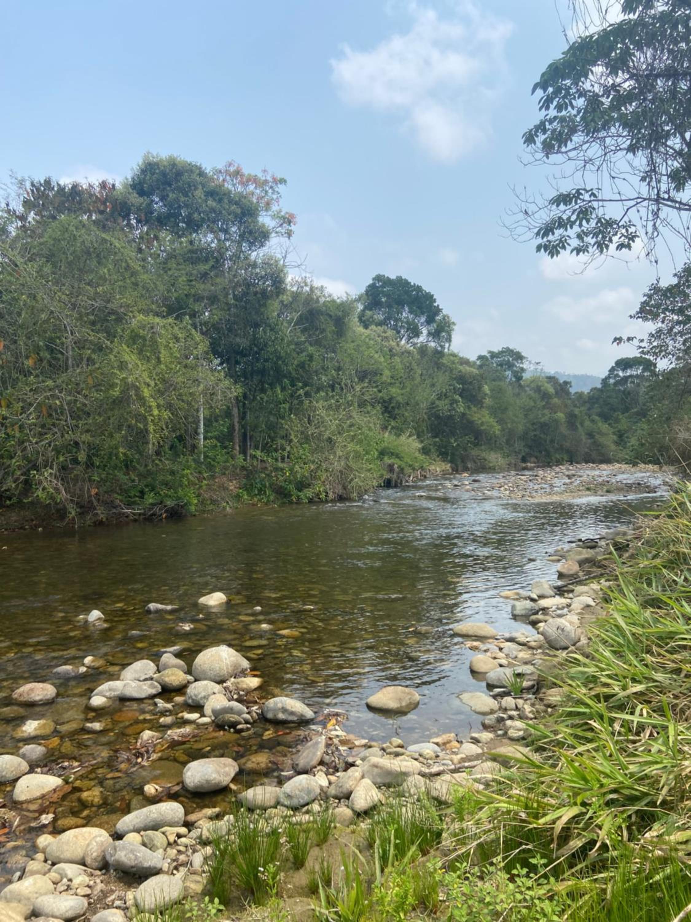 Chalé Manacá da Serra, Visconde de Mauá