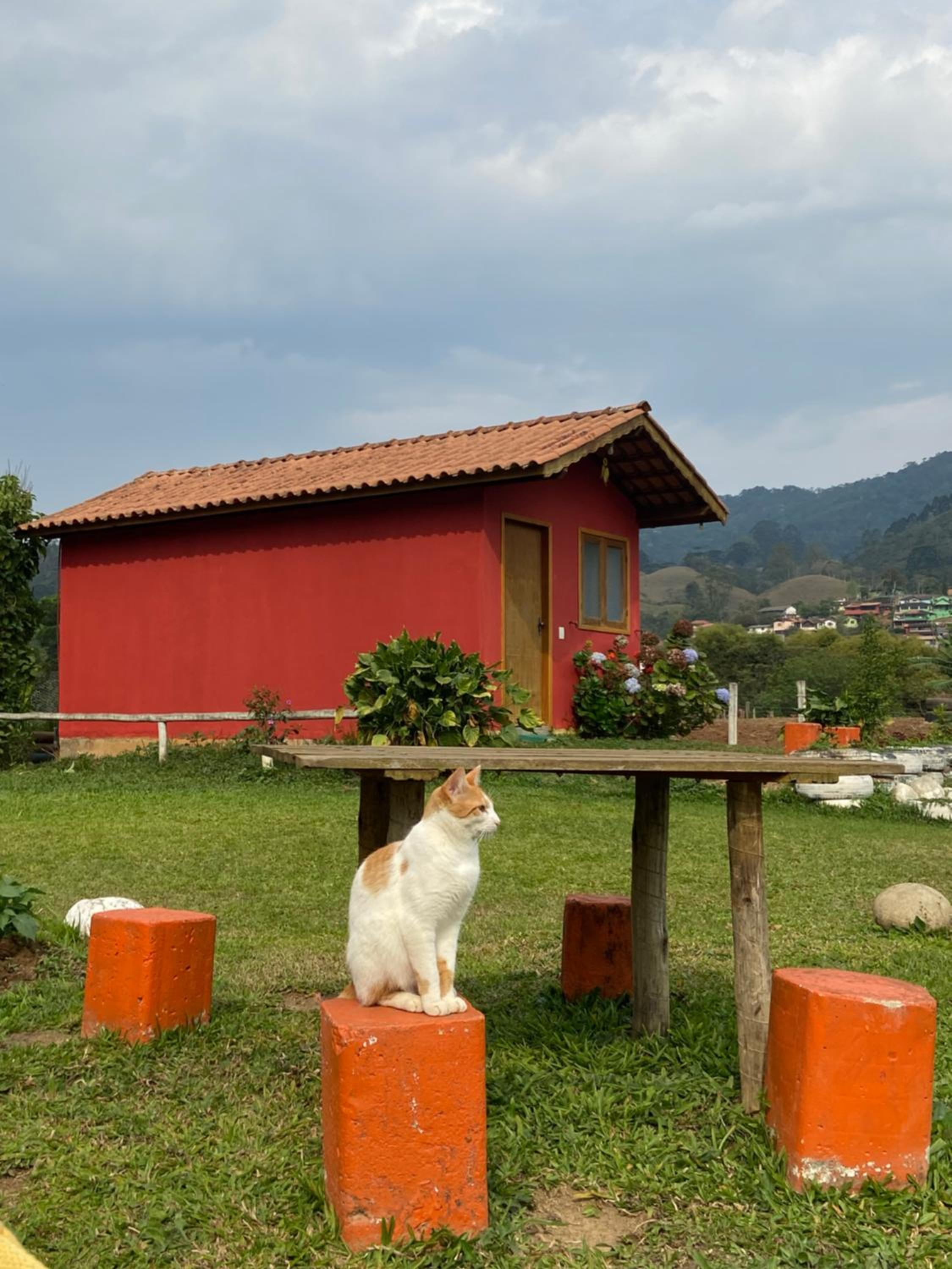 Chalé Manacá da Serra, Visconde de Mauá