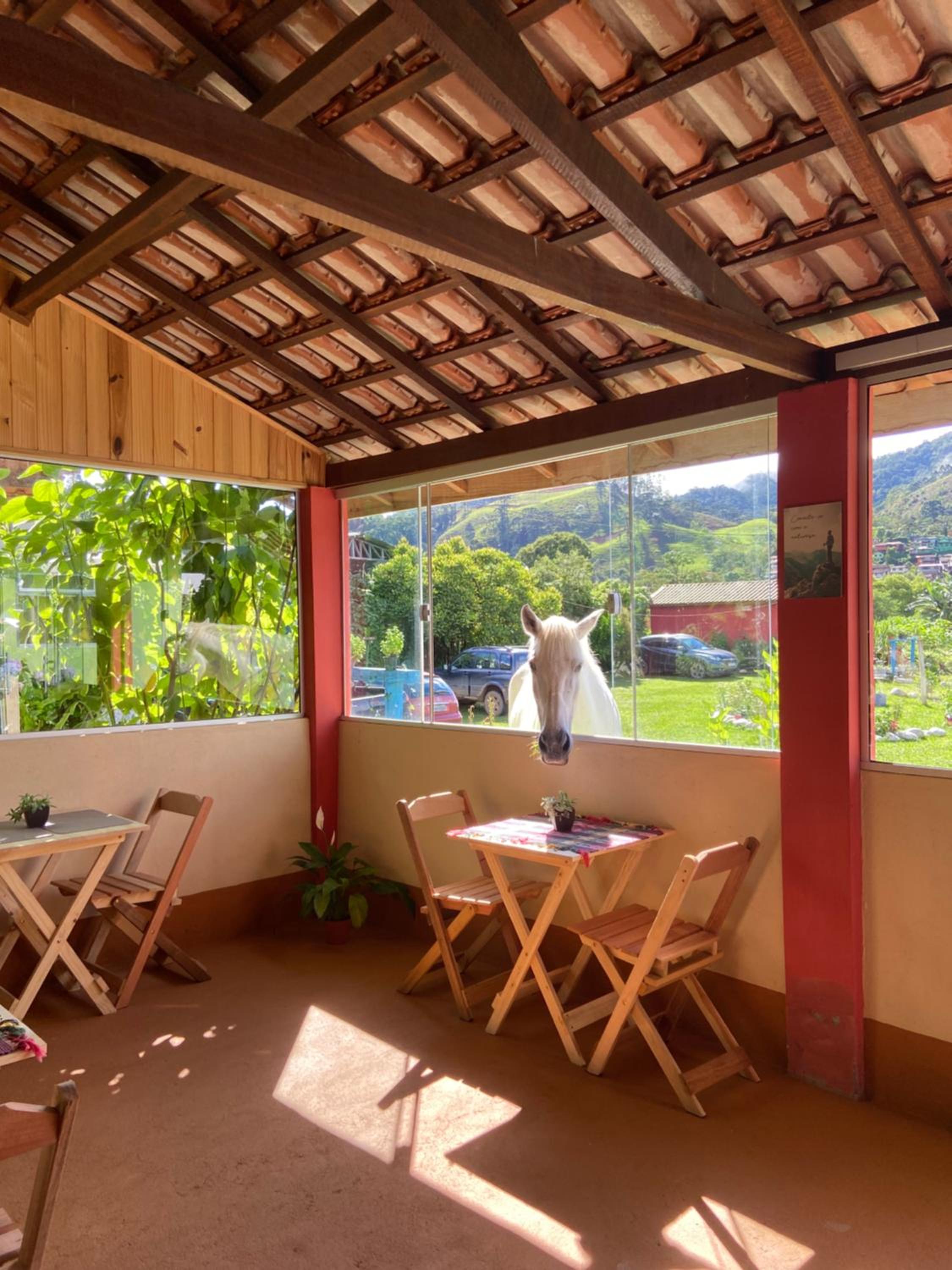 Chalé Manacá da Serra, Visconde de Mauá