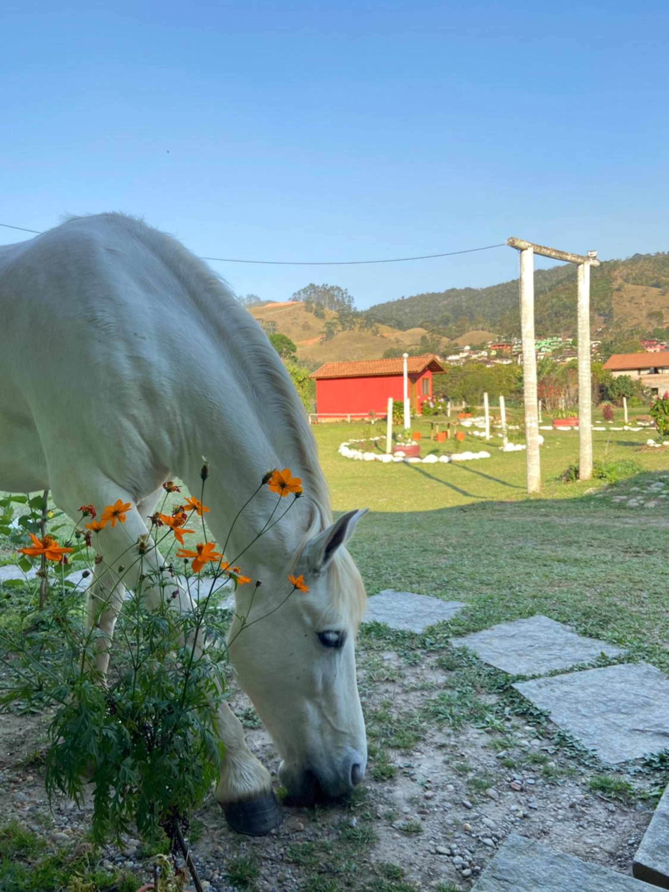 Chalé Manacá da Serra, Visconde de Mauá