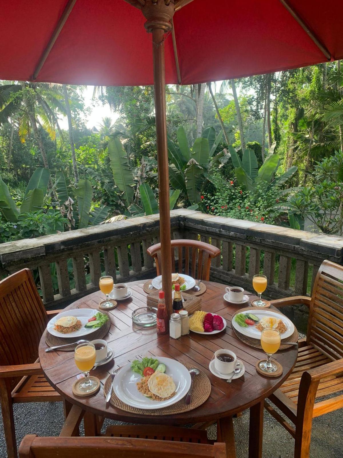 Casa Priya Ubud view 3