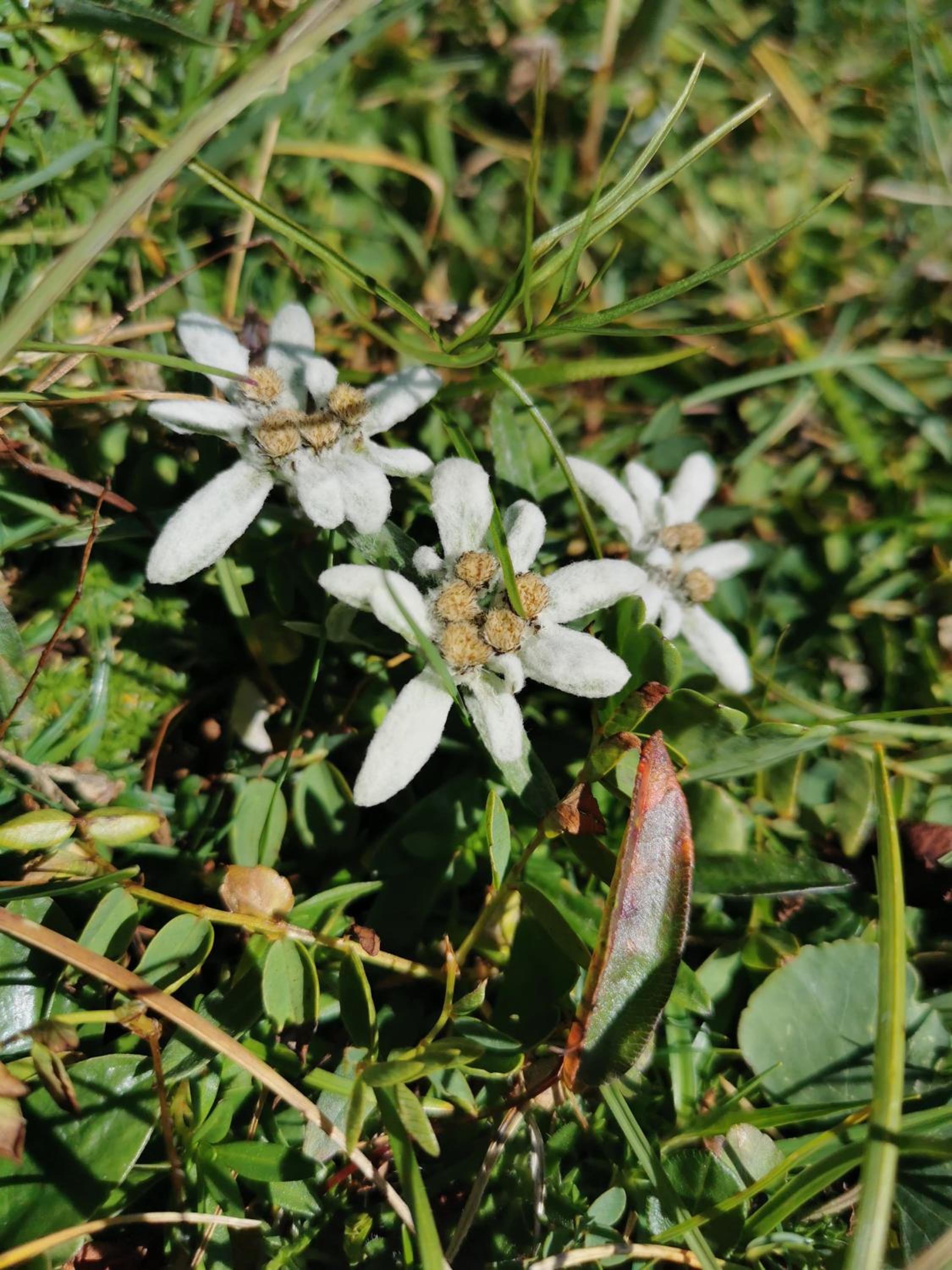 Photo 26
