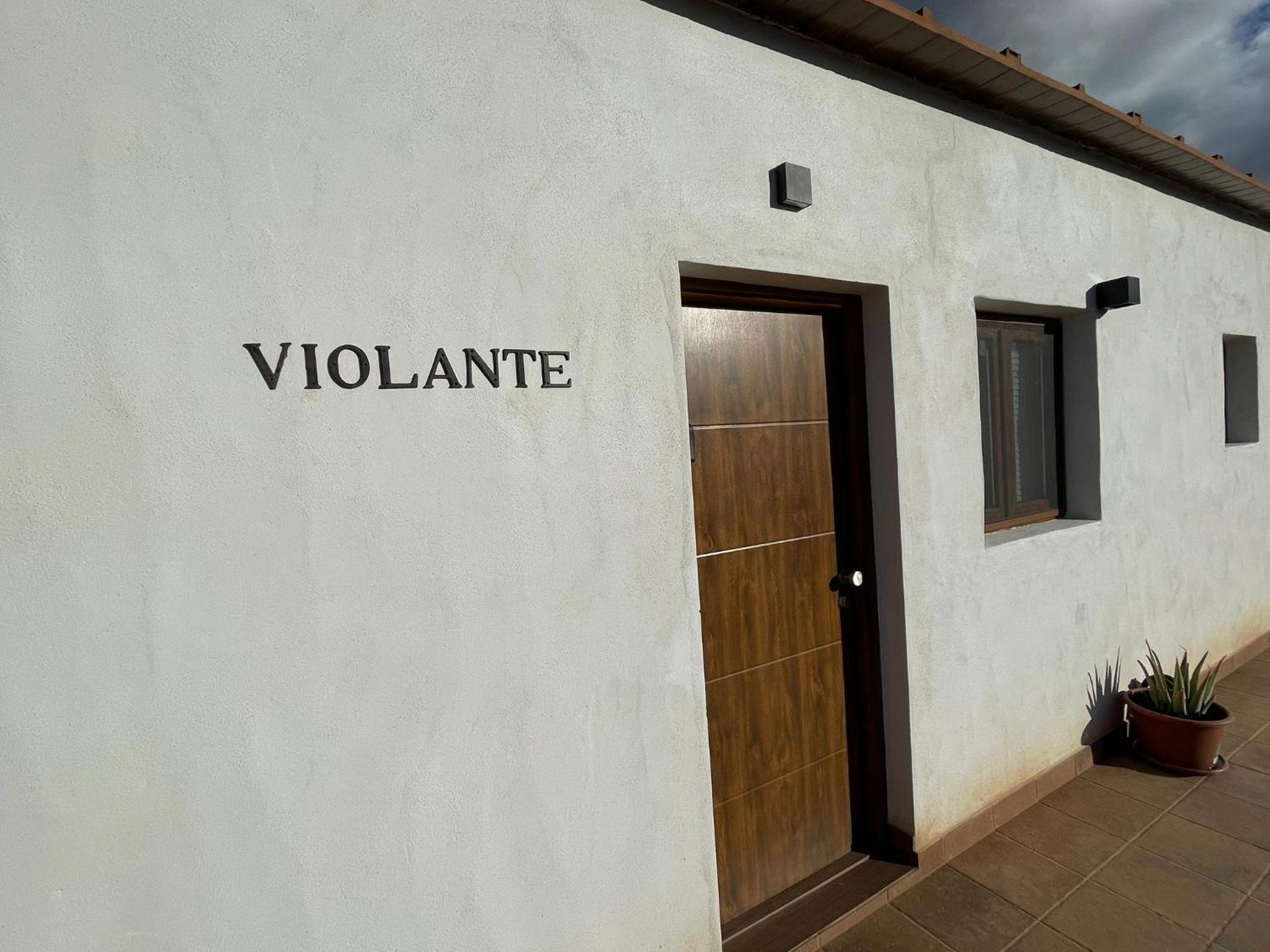 Apartamentos Violante