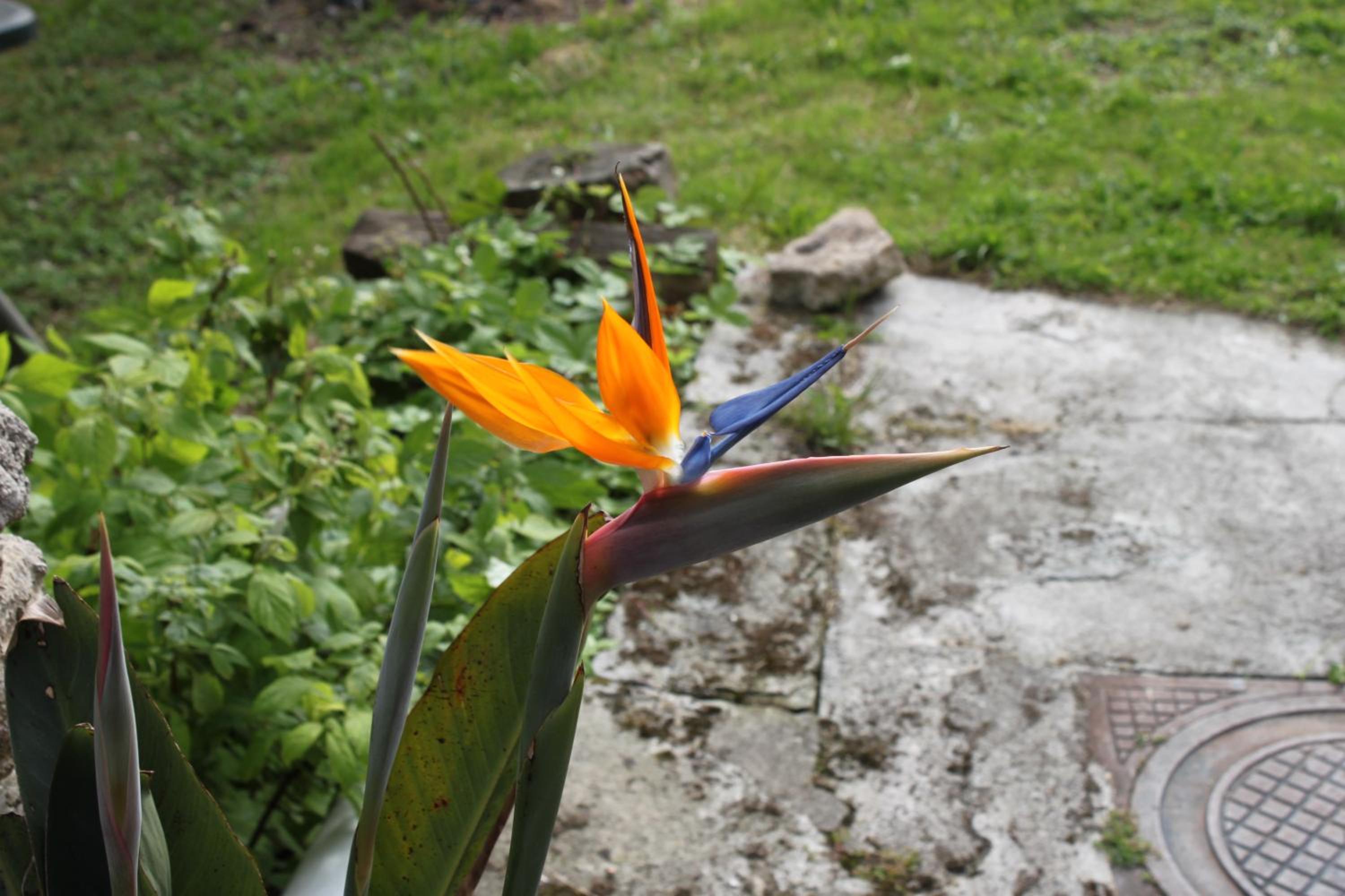 Photo 16