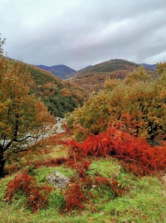 FINCA El LABRAO DE ALARDOS
