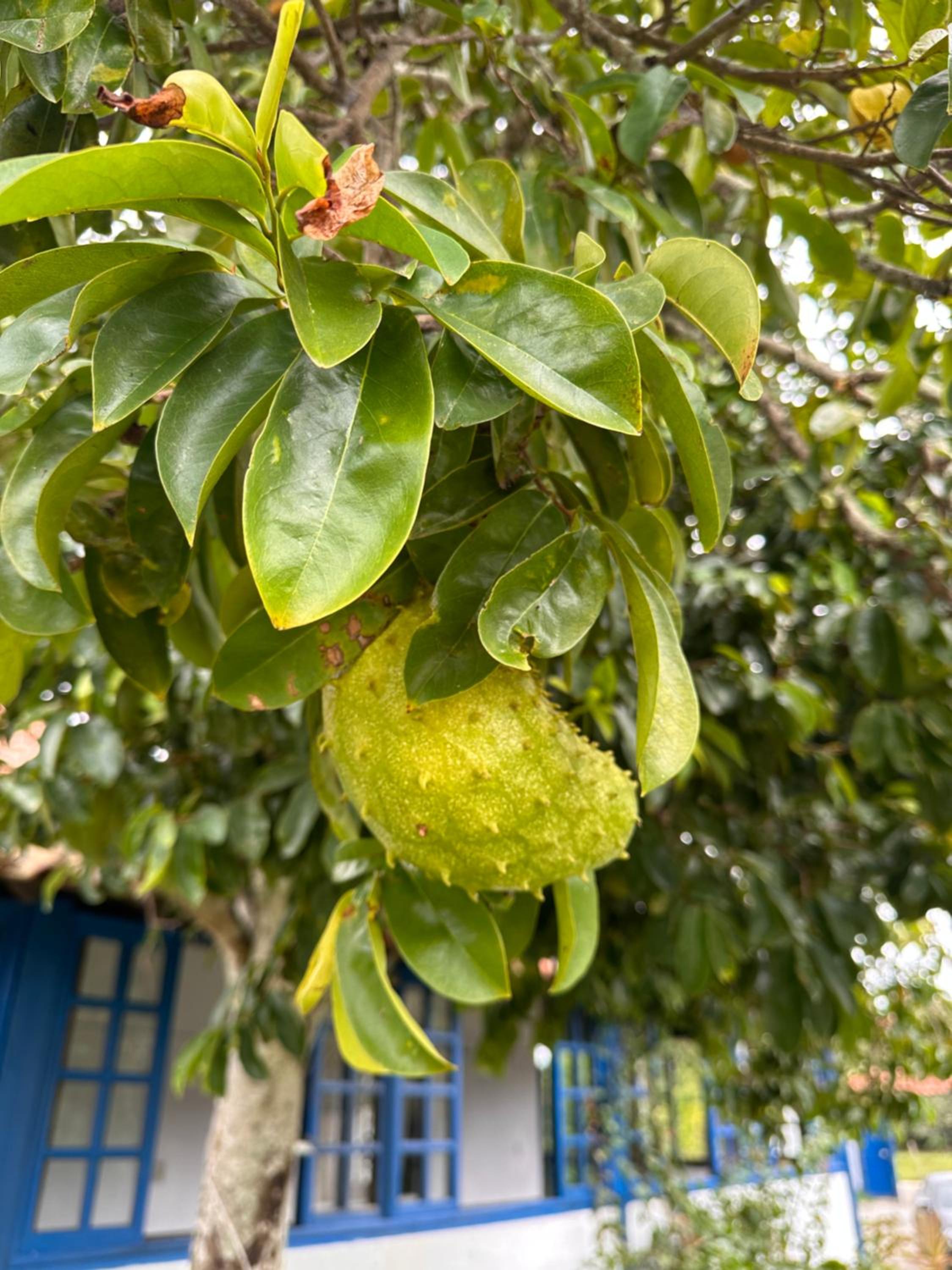 Pousada Zion Búzios
