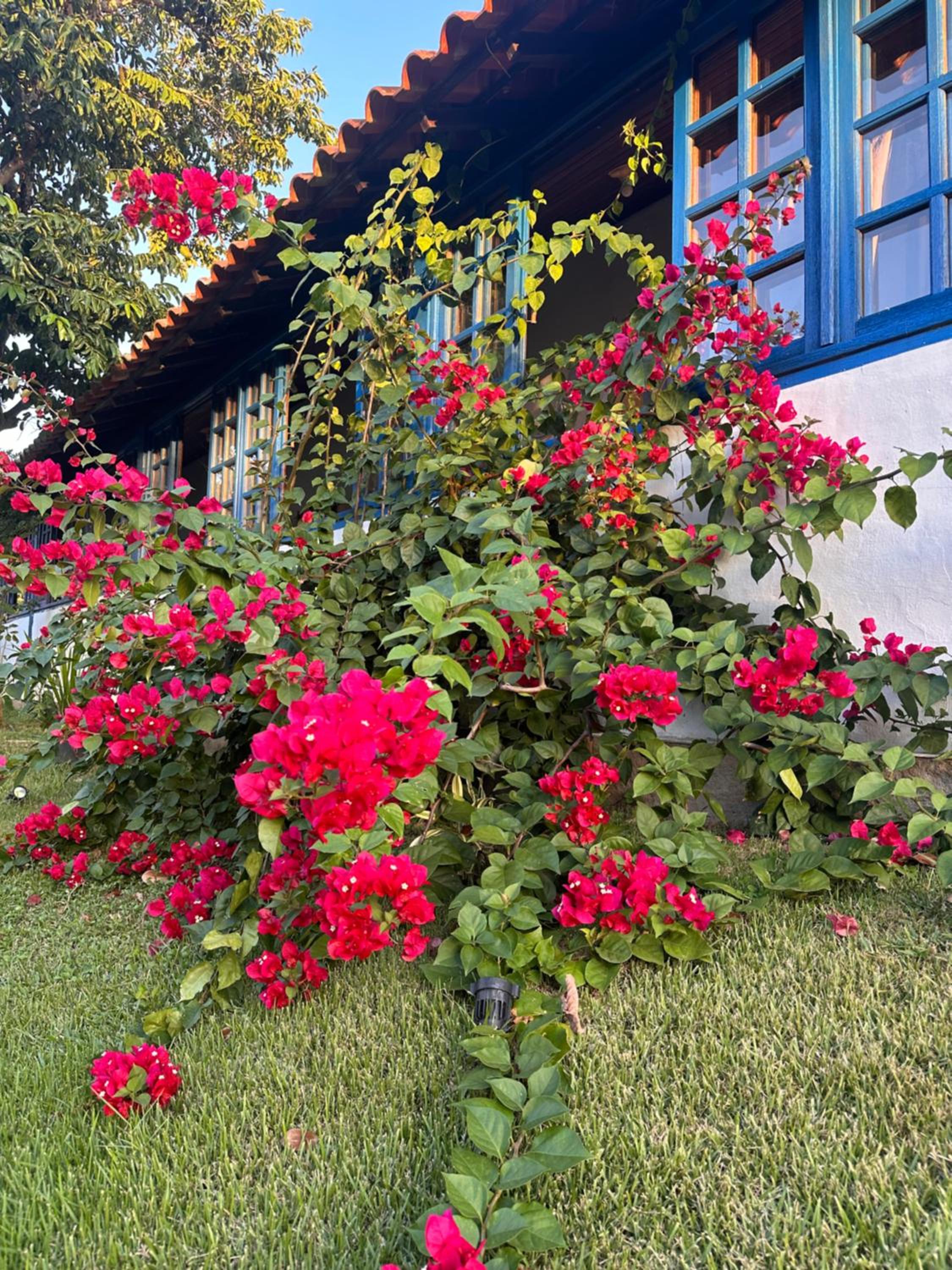 Pousada Zion Búzios
