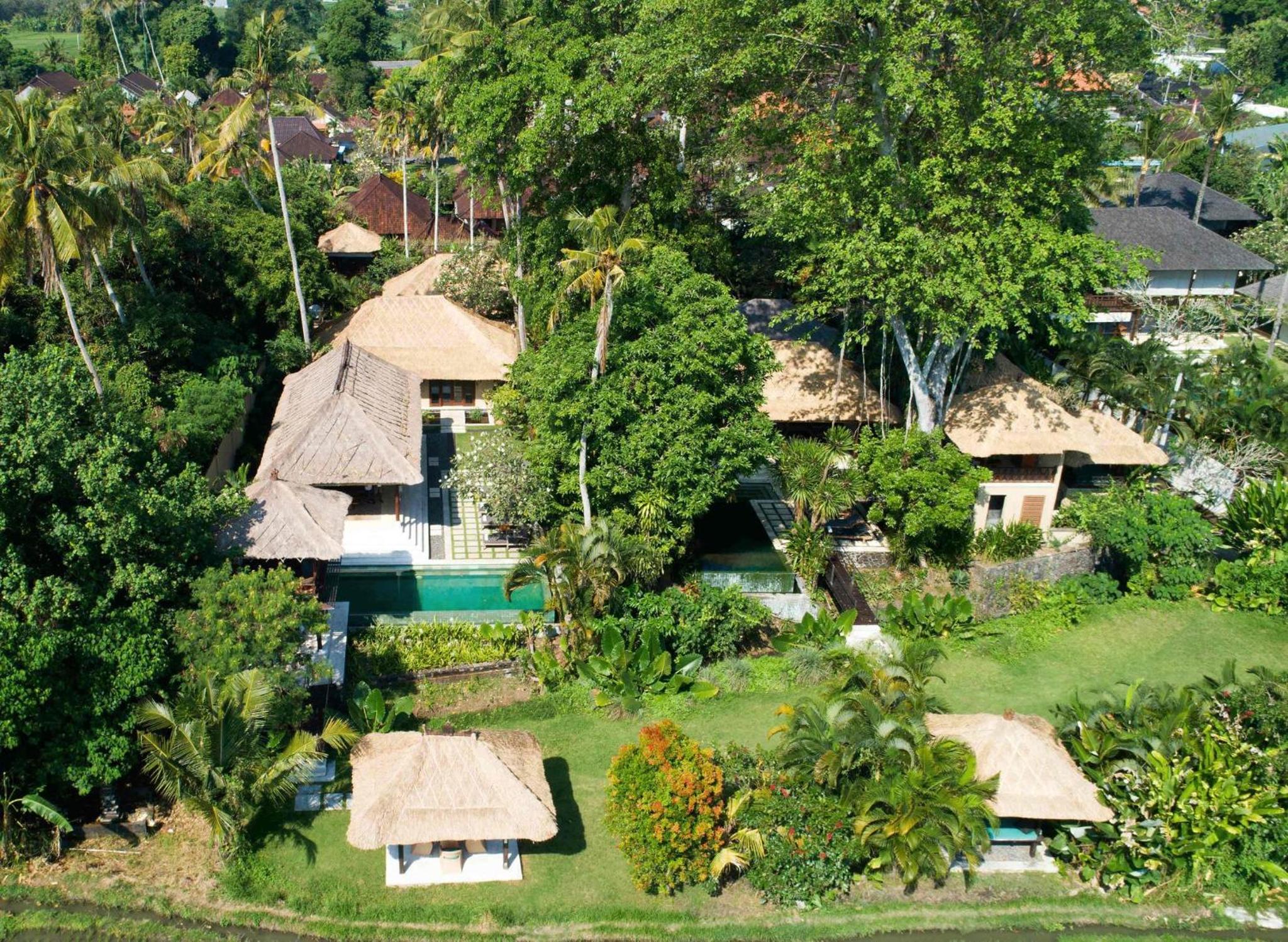 Tamu Seseh