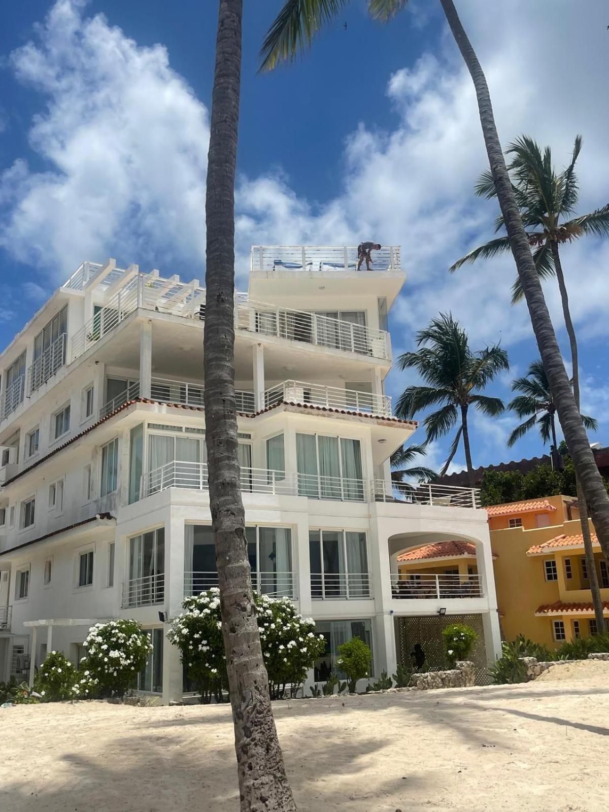 Palm Sea View