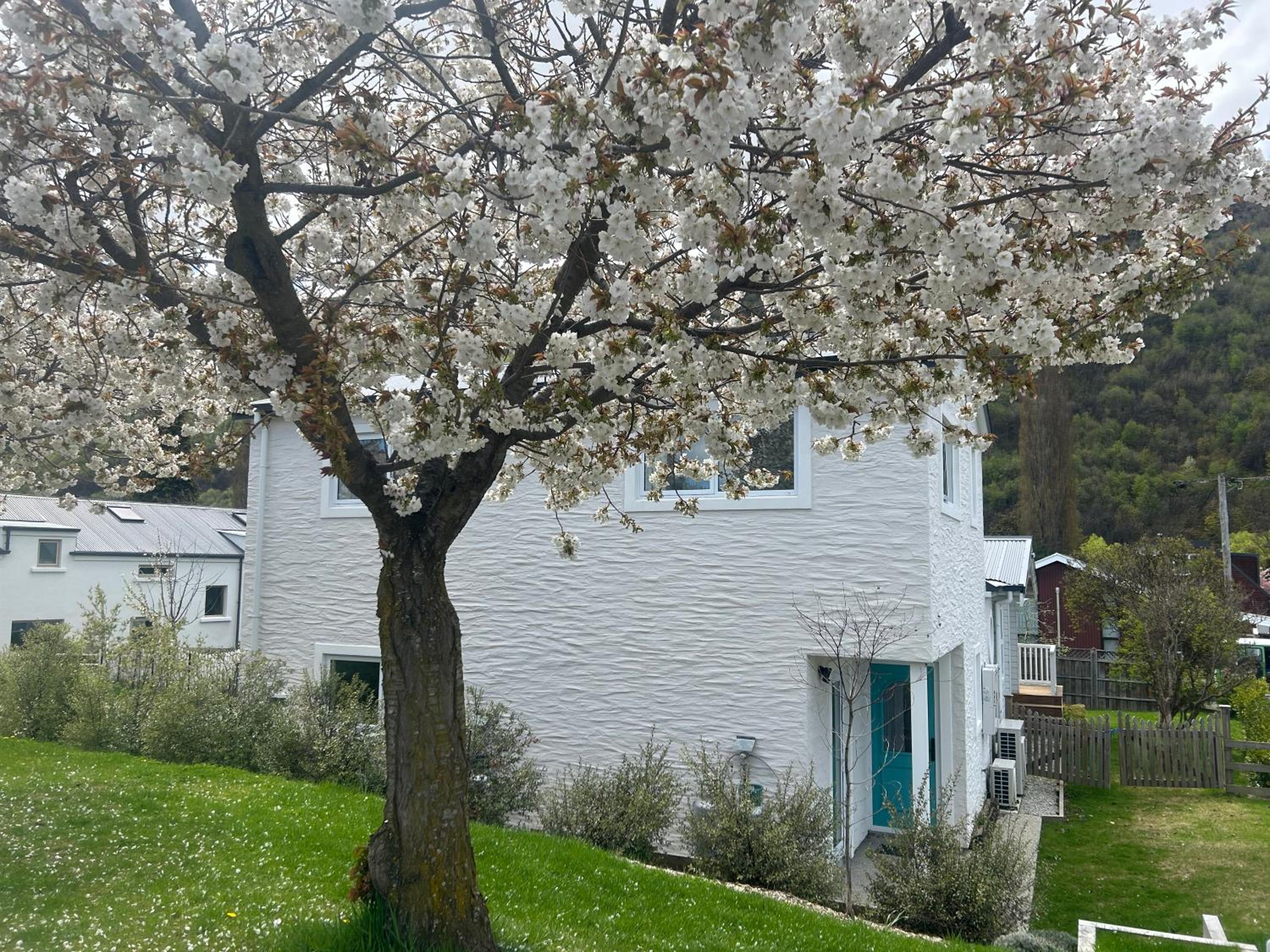 The Apartment at Arrowtown