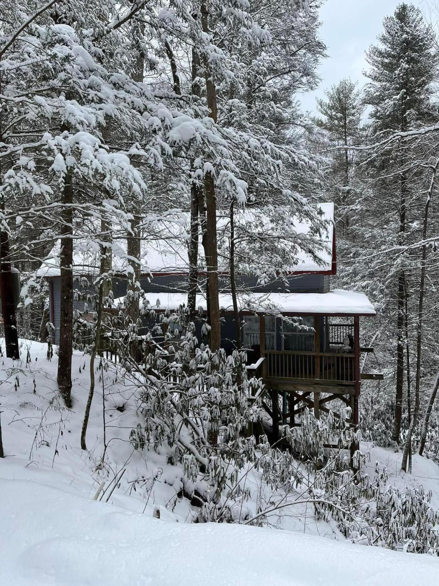 Cozy Cabin in Red River Gorge view 4