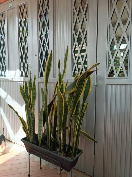 Apartamento Amoblado amplio y confortable, excelente ubicación 
