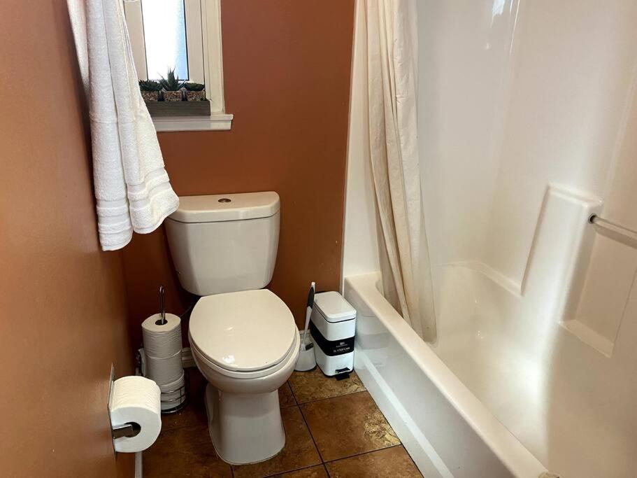 Photo 46
