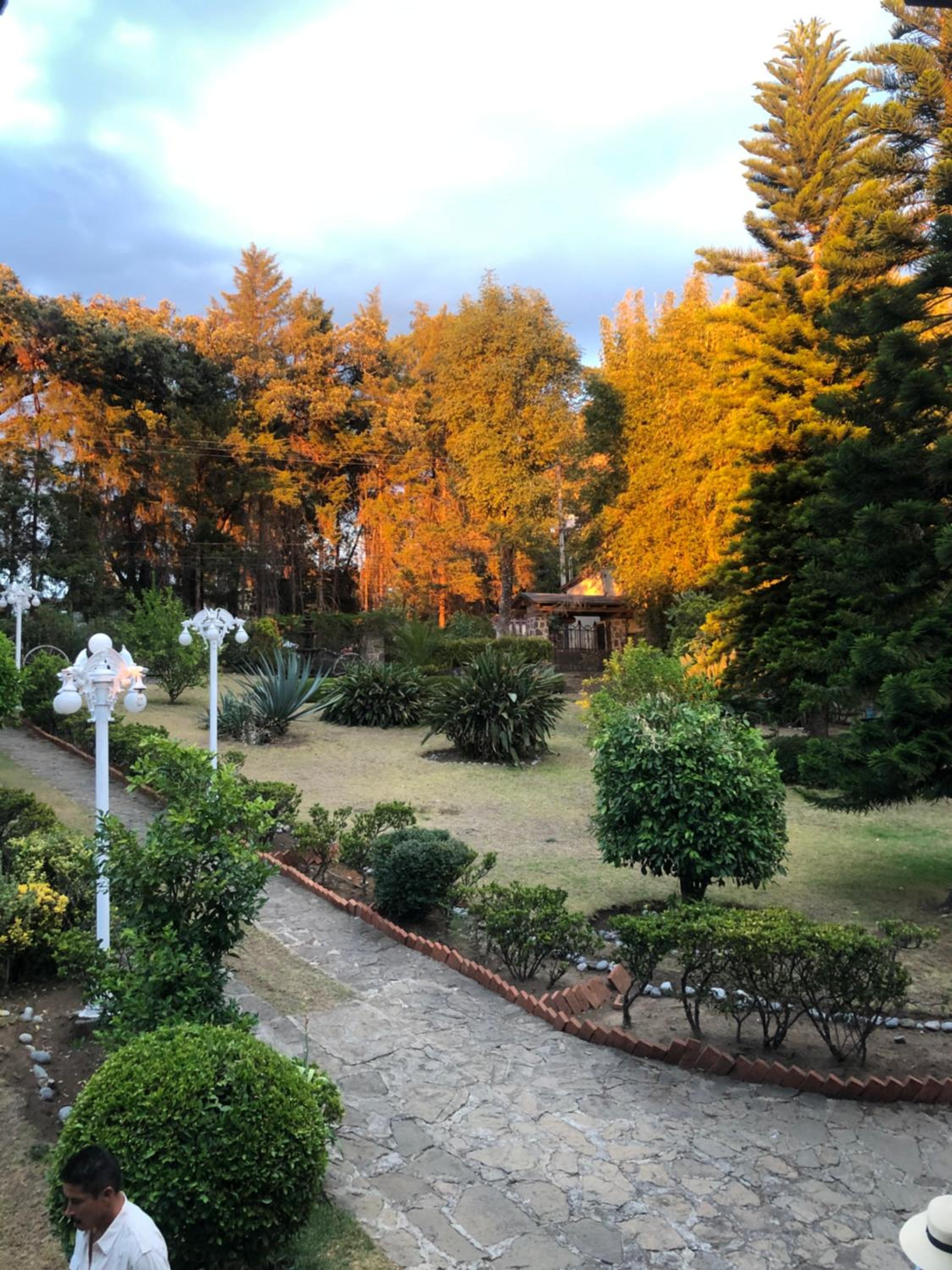 Photo 19