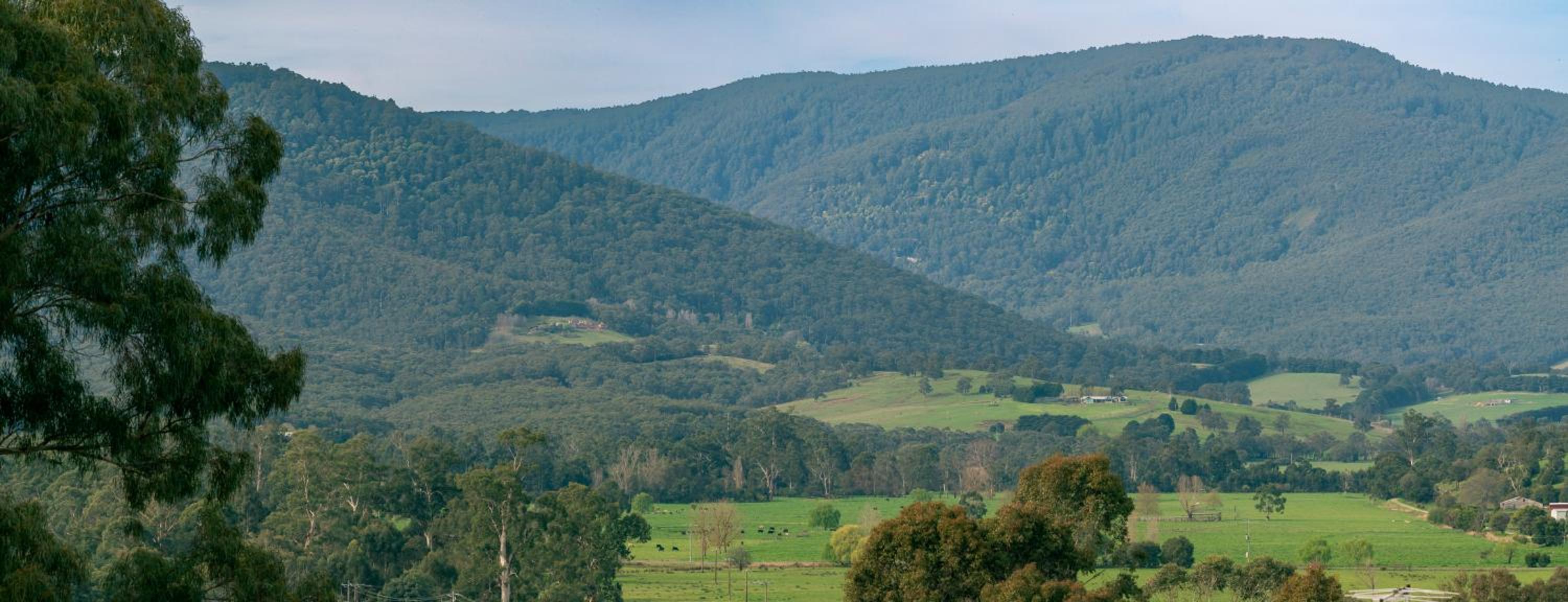 Kanangra Place, Yarra Valley