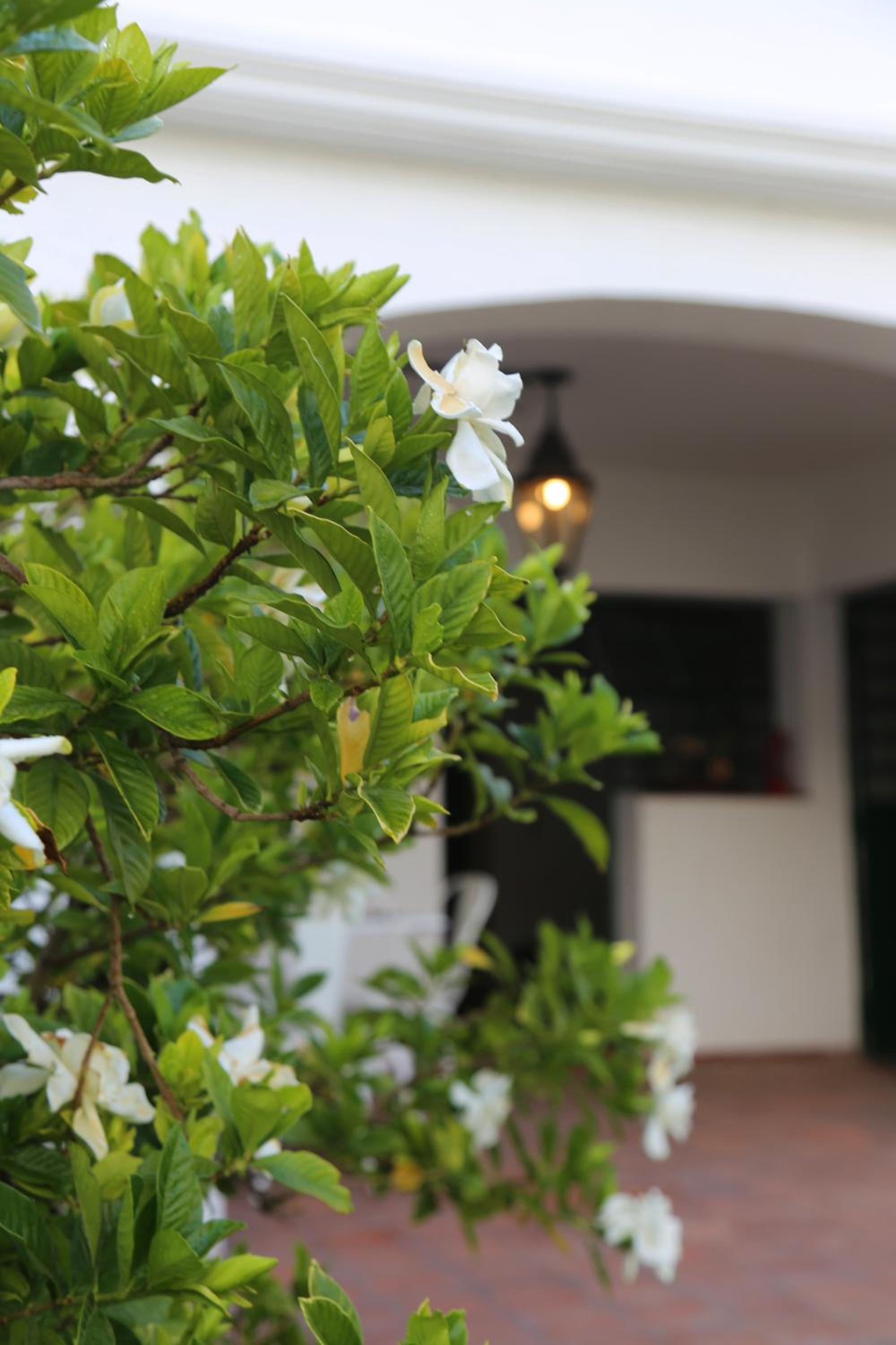 Lujosa Casa en Mendoza