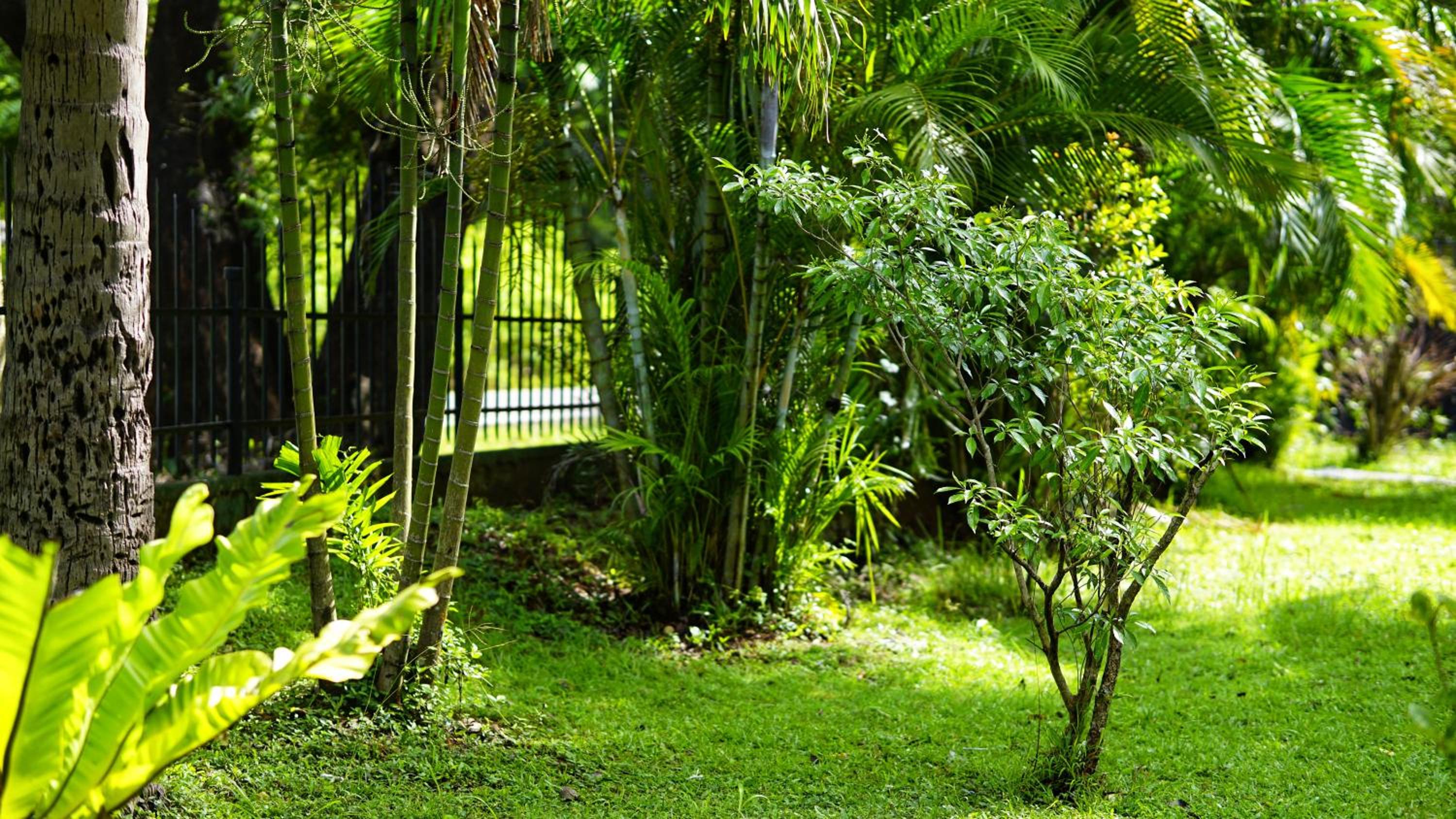 Lavish Layer Homestay