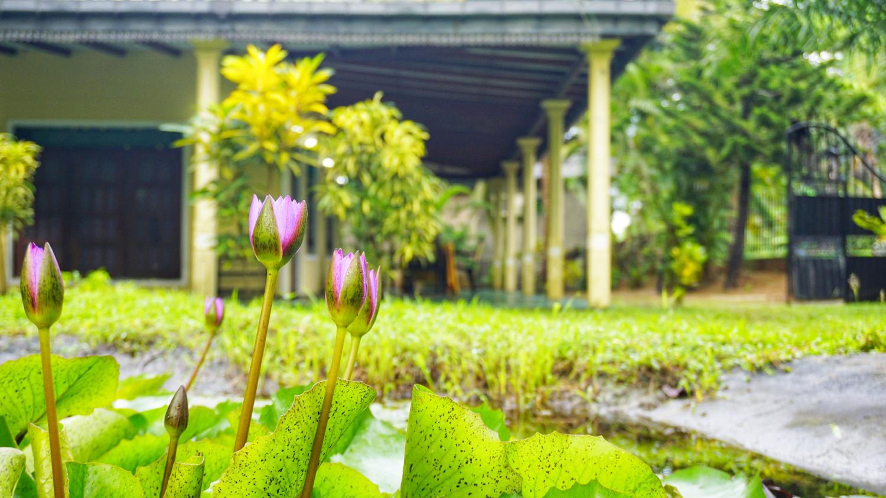 Lavish Layer Homestay