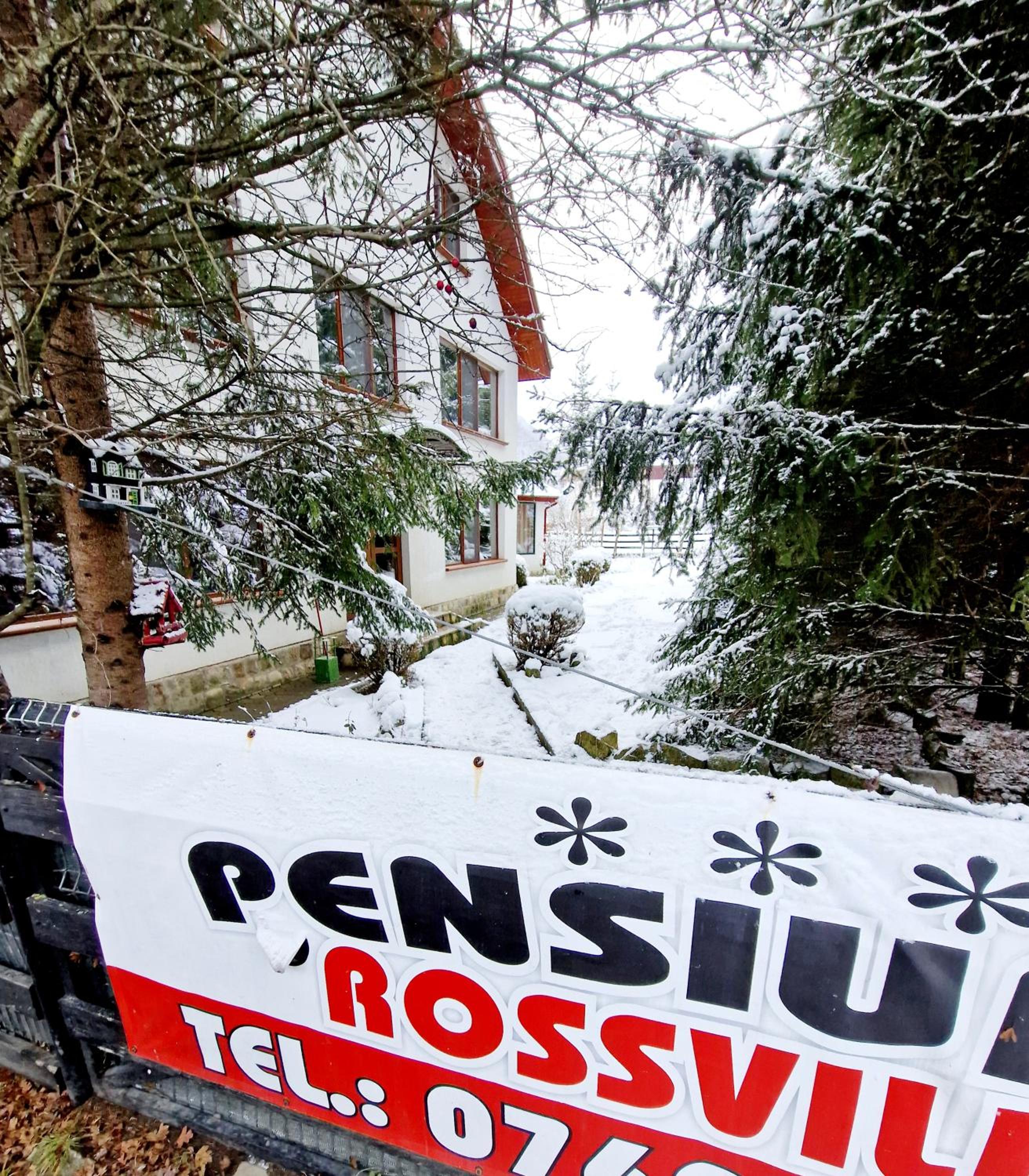 Pensiunea Rossvillas!! view 5