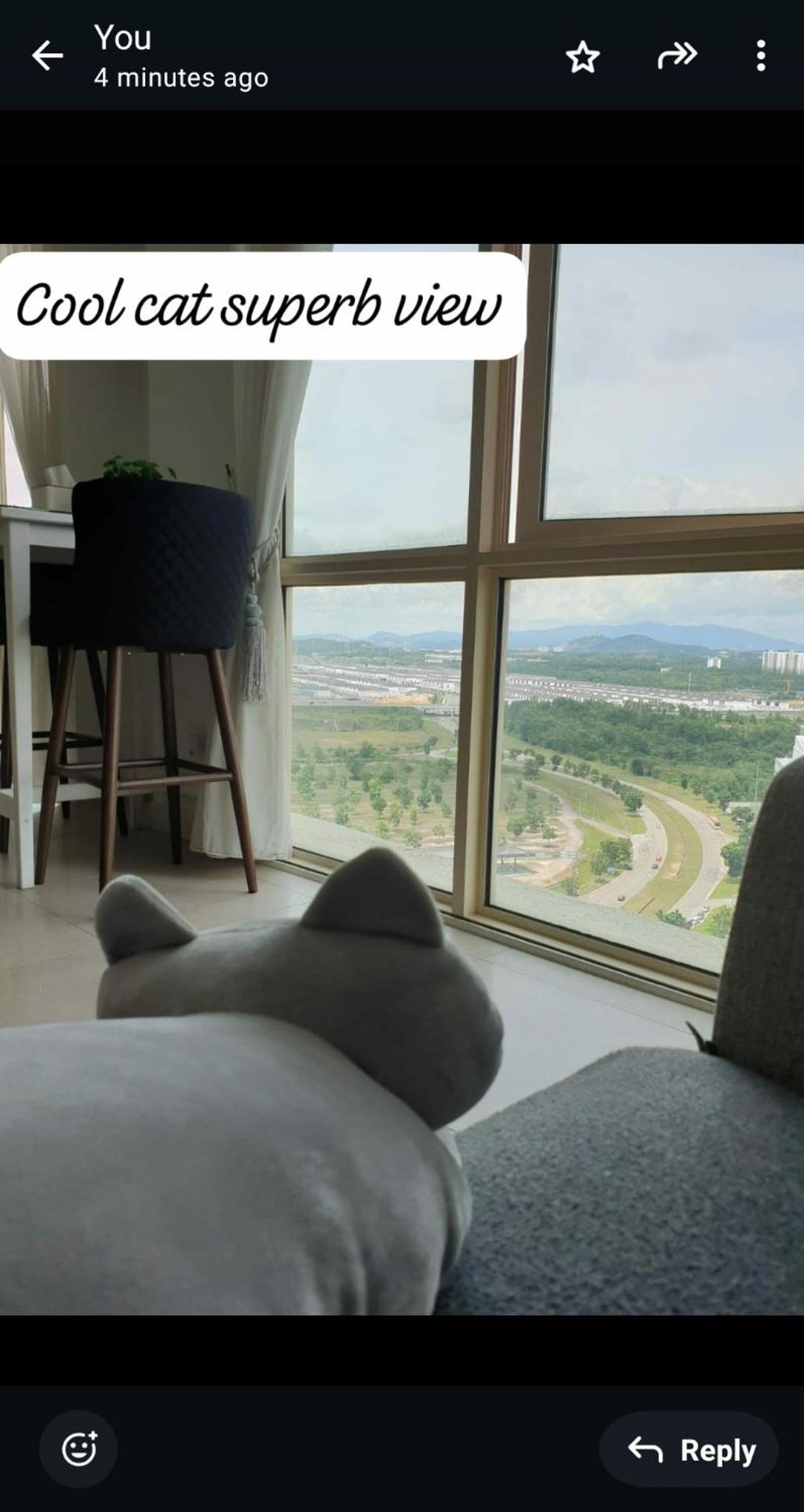 Afiniti suite, high floor & beside Legoland photo 8