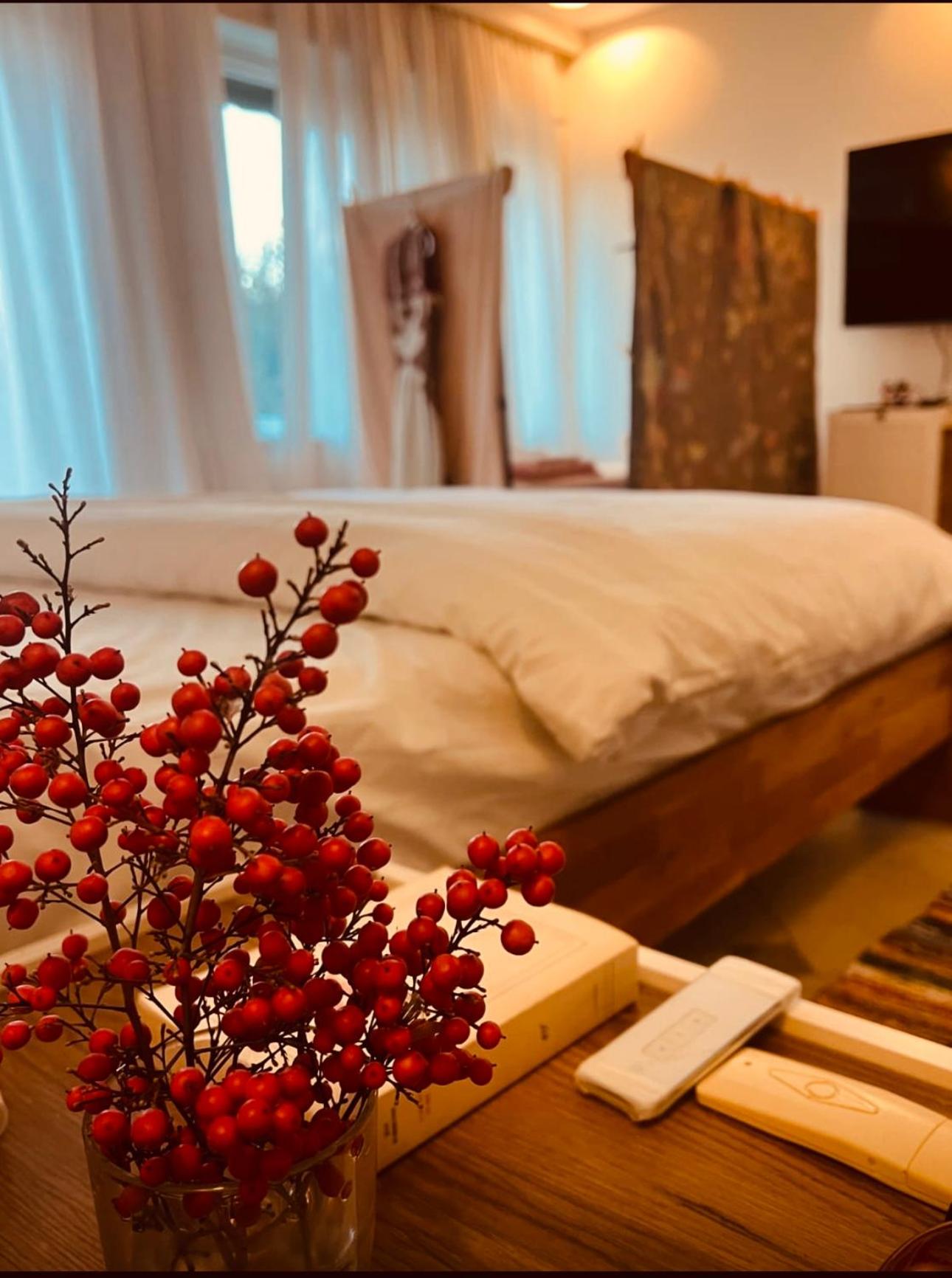 Top privacy Eco Villa Villa 2026 TEG hill,best in Tirana with no neighbours
