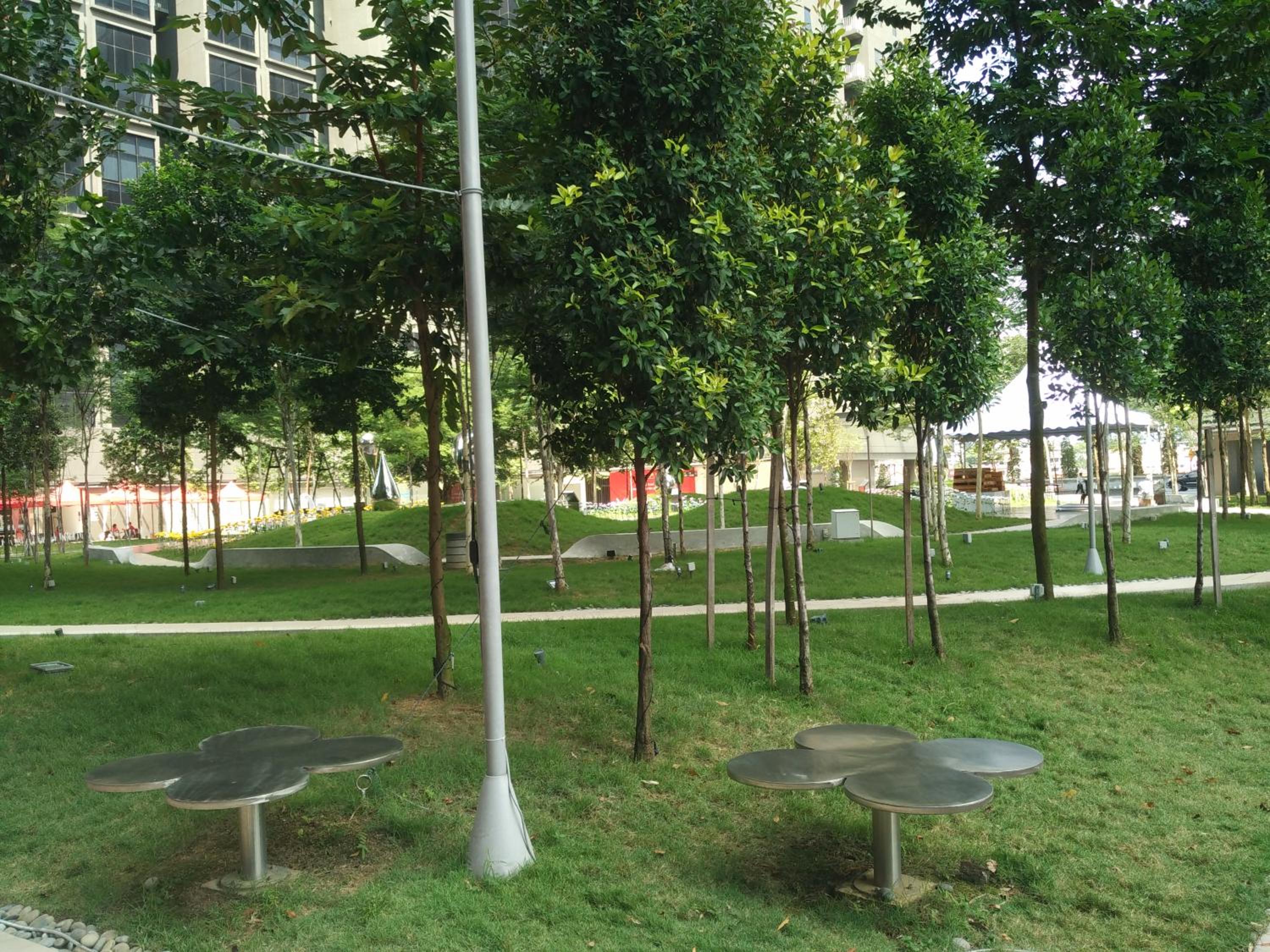 Photo 42