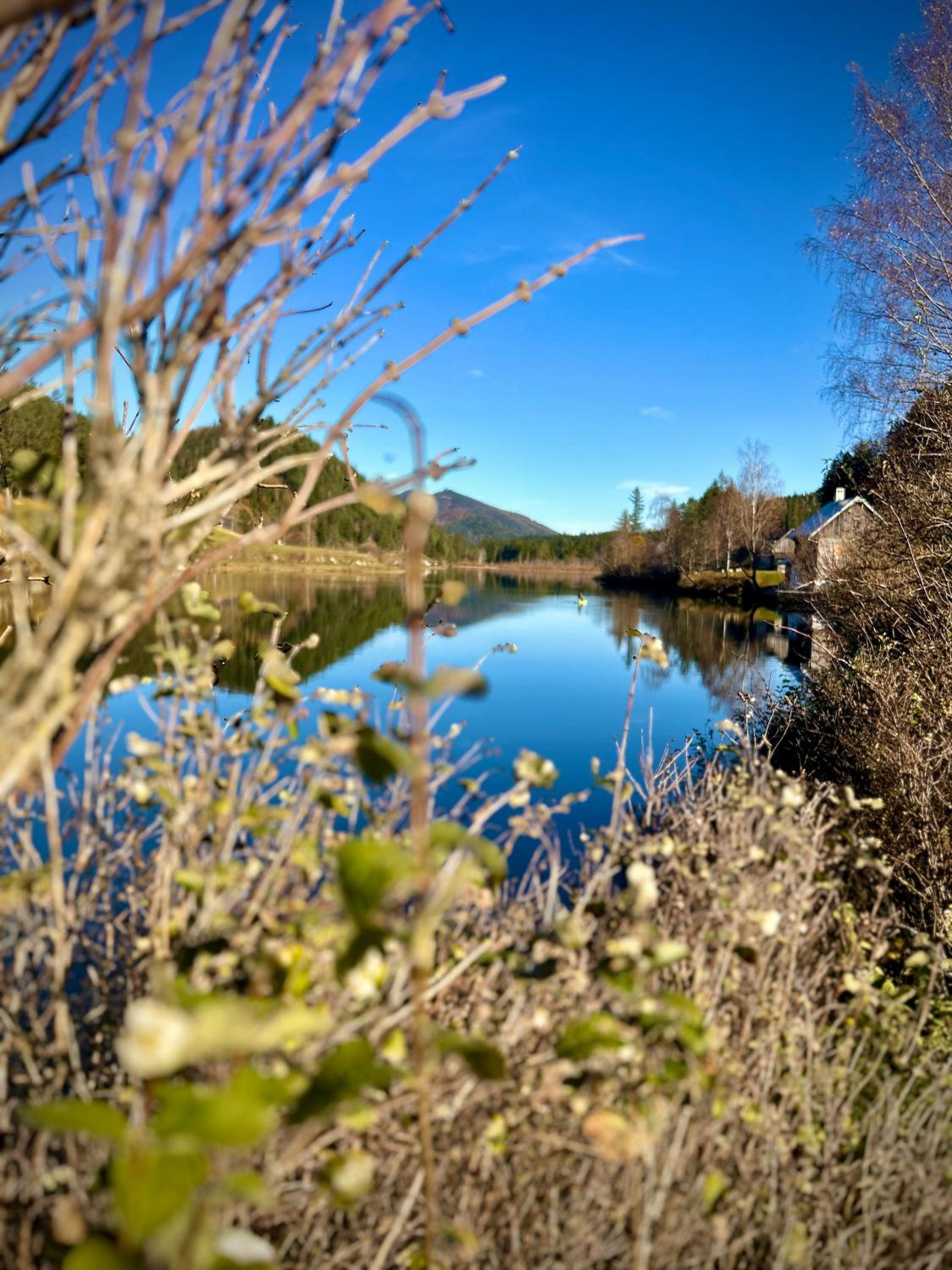 Chalet Hubertussee