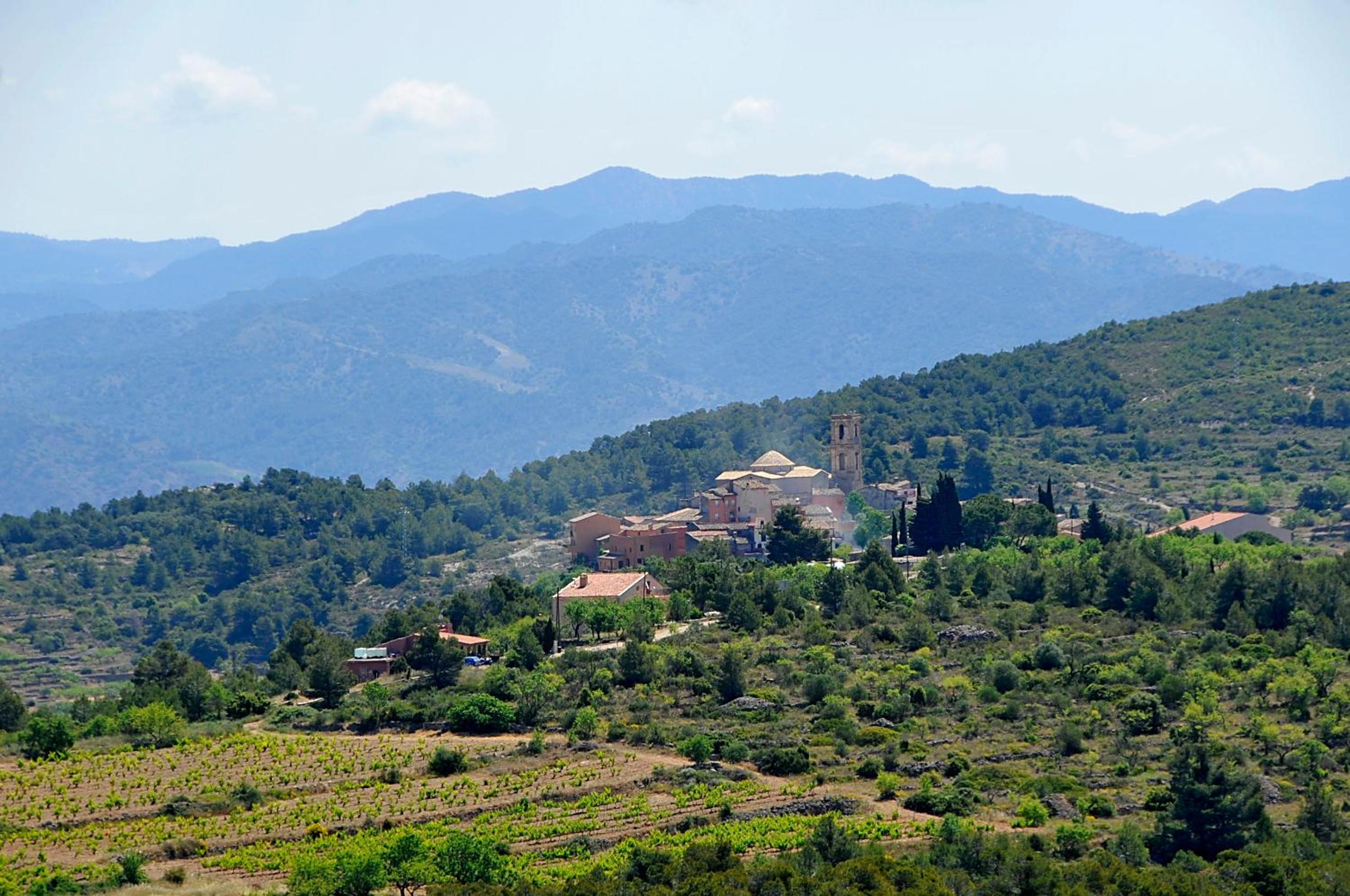 Eremita al Priorat