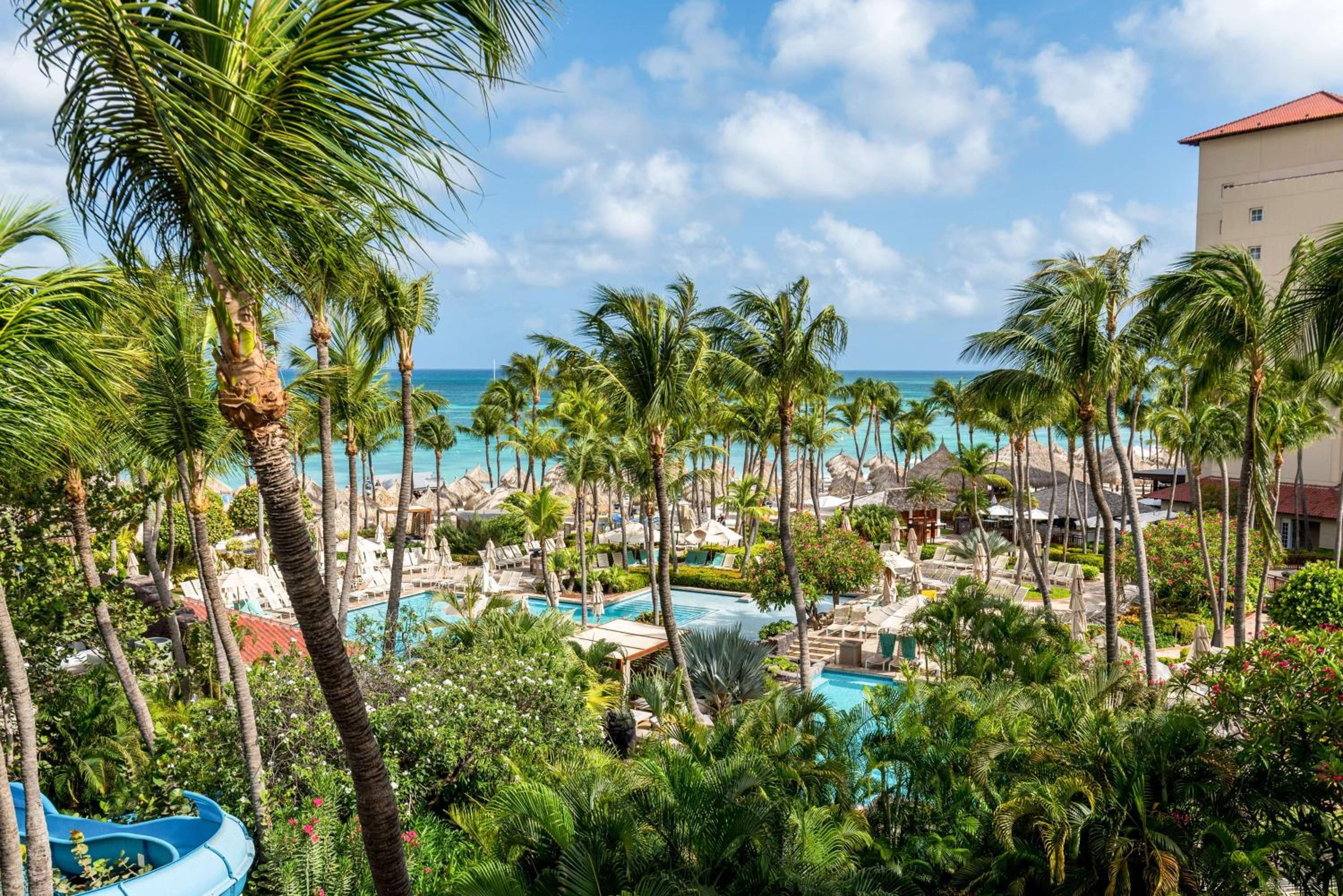 Hyatt Regency Aruba Resort  Casino - Property Image 7