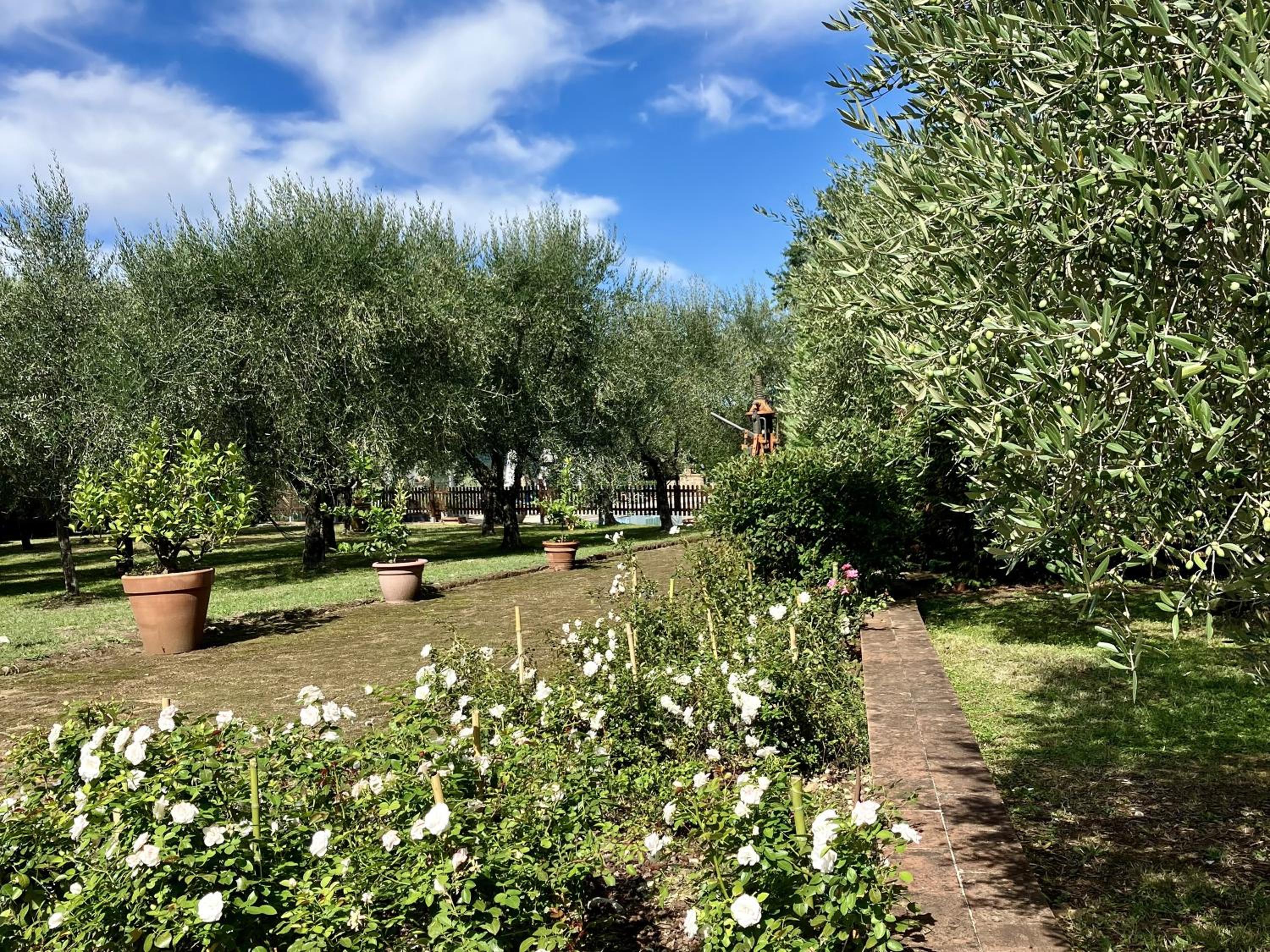 Agriturismo Podere Campiglia