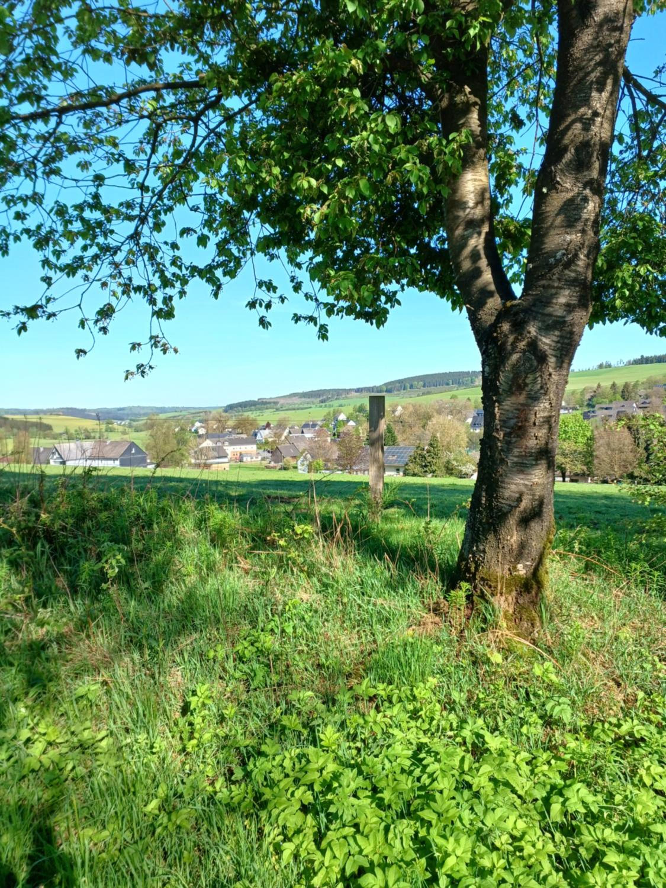 Ferienhaus Birkelbach