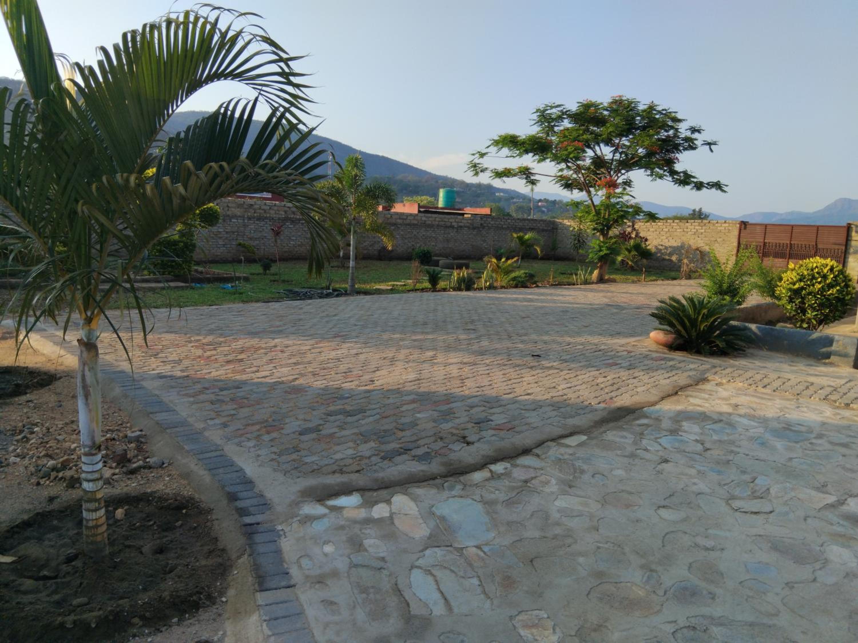 Photo 6