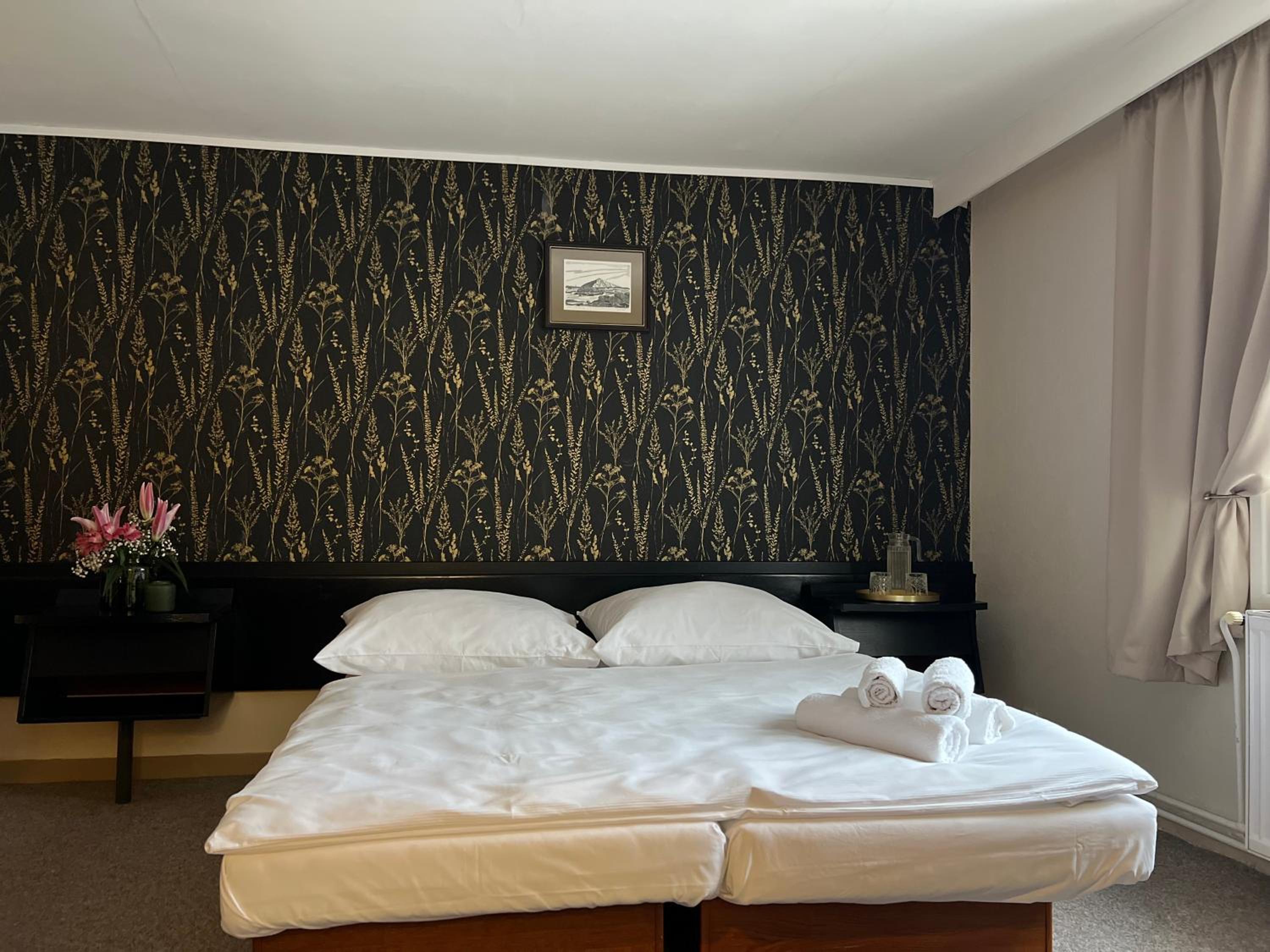 Hotel Lomnice