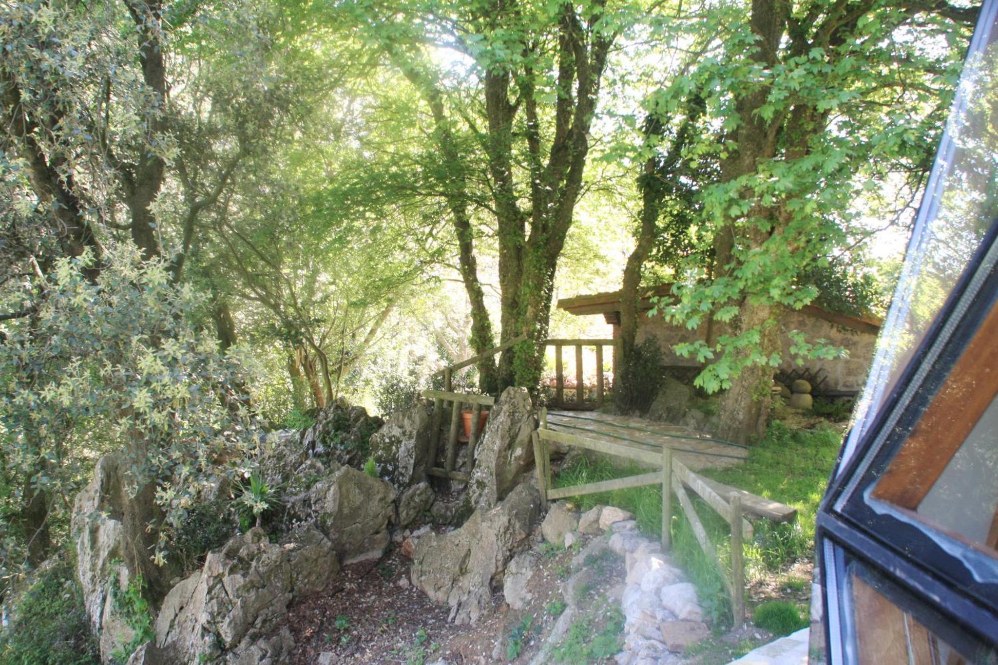 Los Acebos de Peña Cabarga, Cúpula experiencias