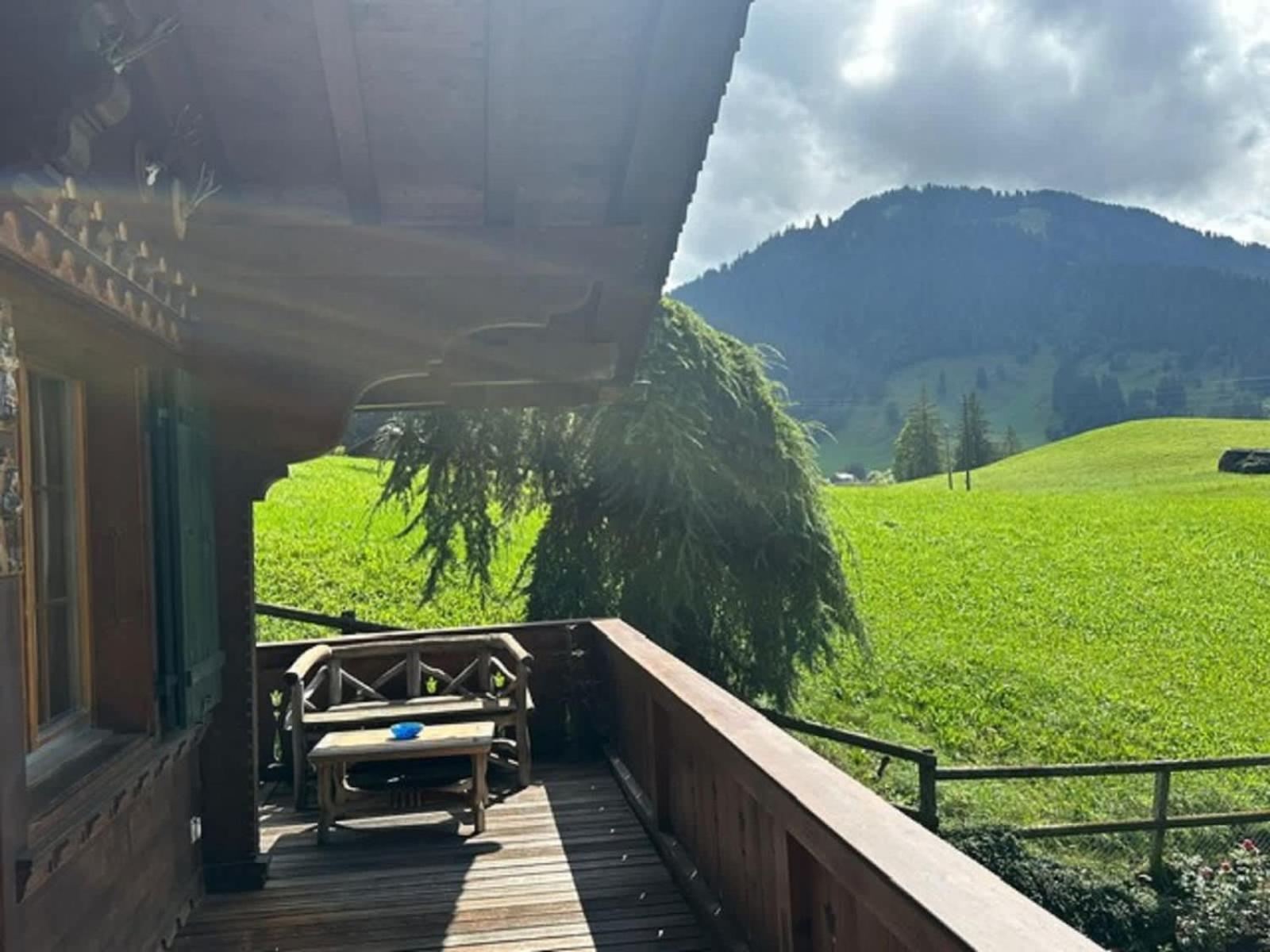 Gstaad Gem: Best Alps View Serene Pond