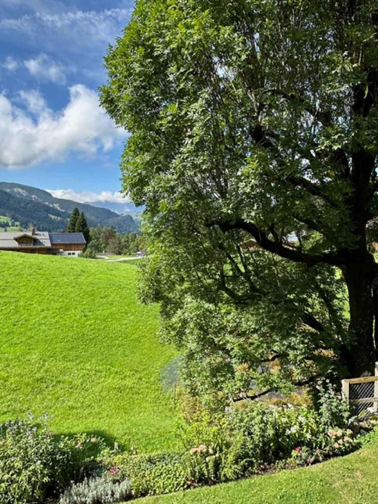 Gstaad Gem: Best Alps View Serene Pond