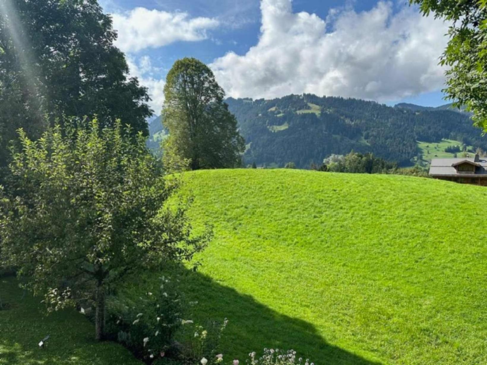 Gstaad Gem: Best Alps View Serene Pond