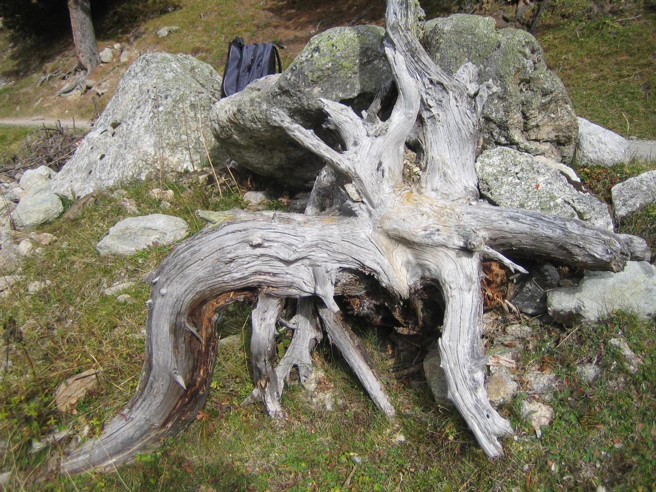 Photo 13
