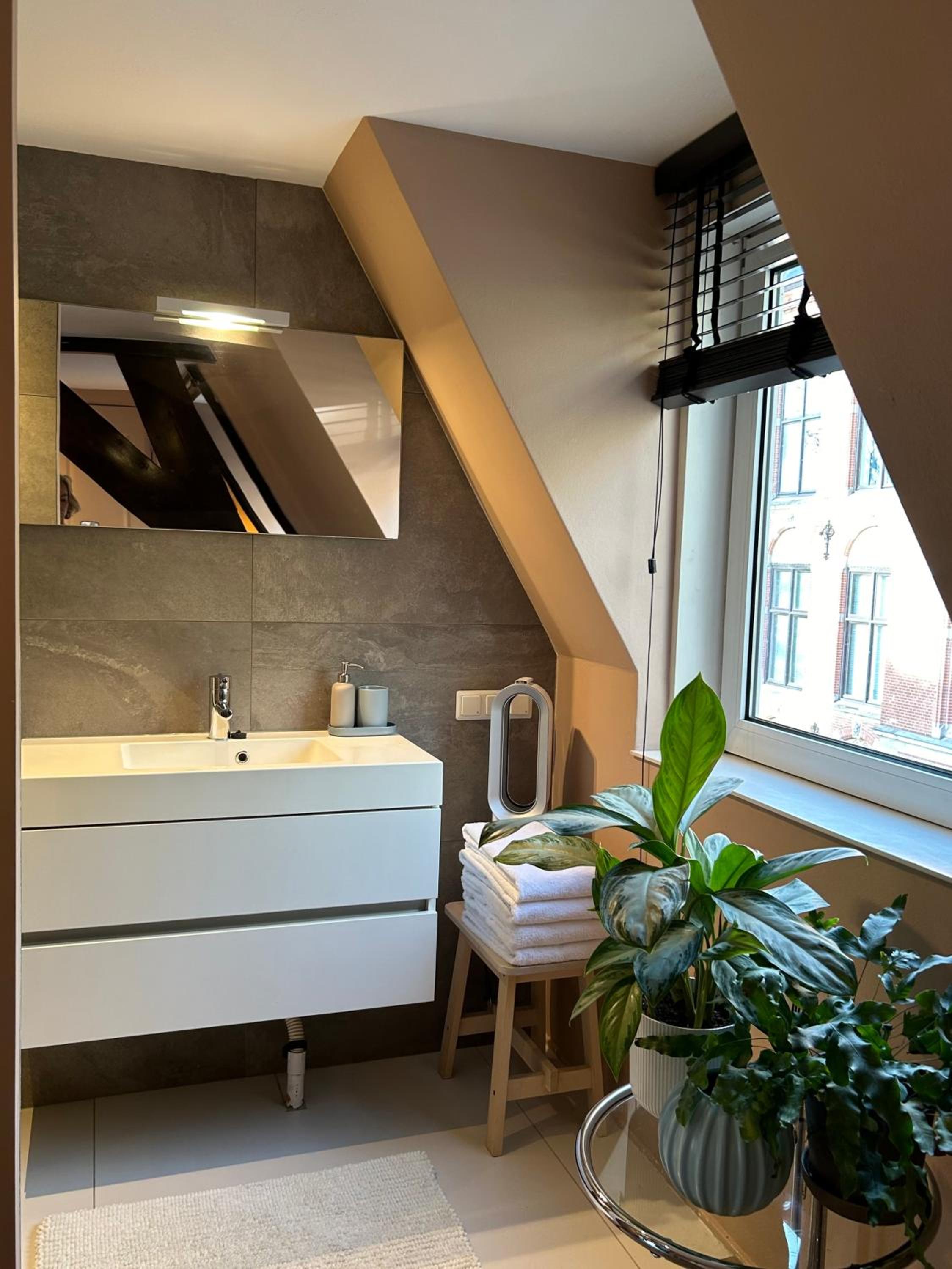 Cozy room just outside Utrecht Center, calm & green view 4