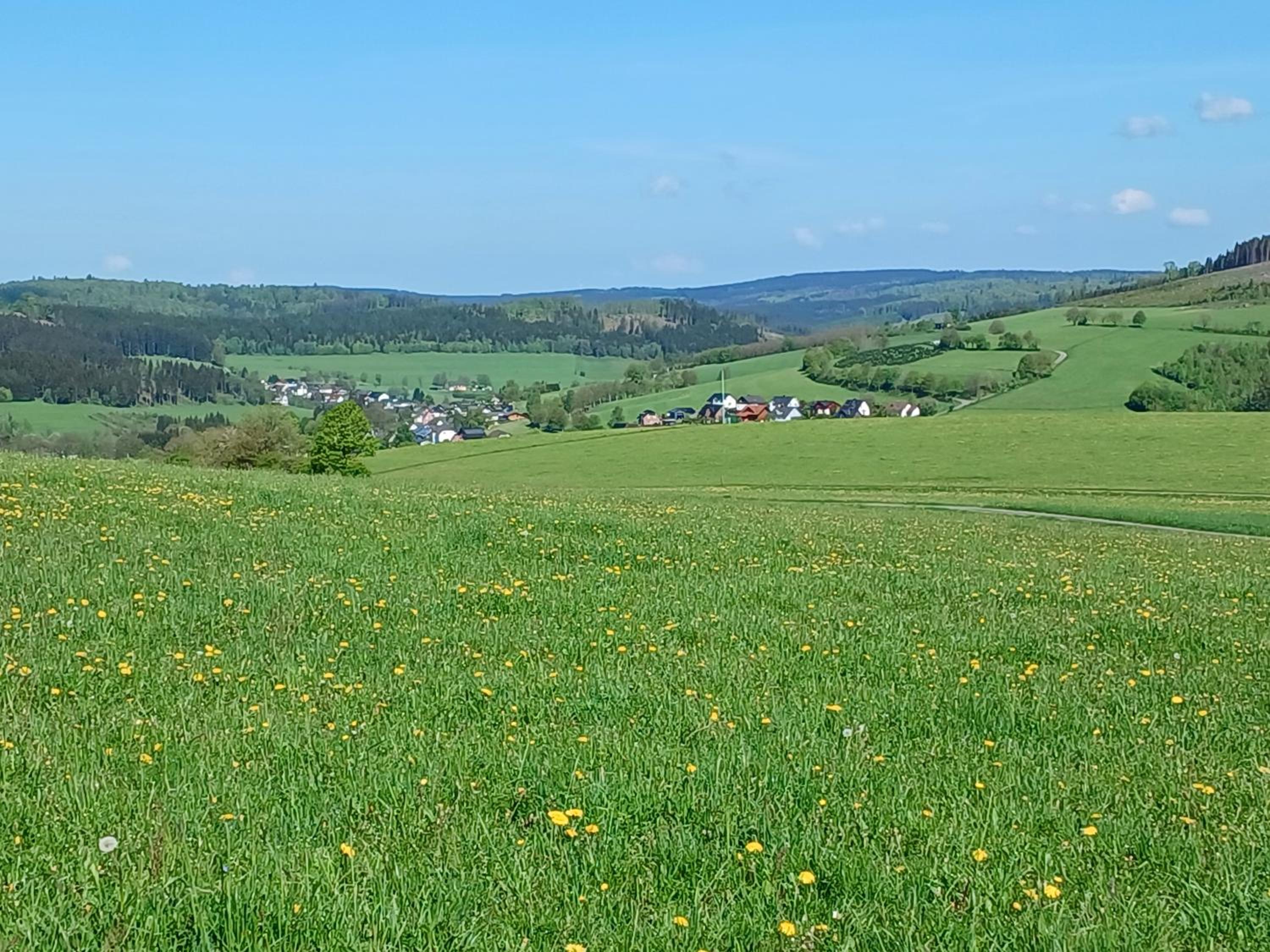 Ferienhaus Birkelbach