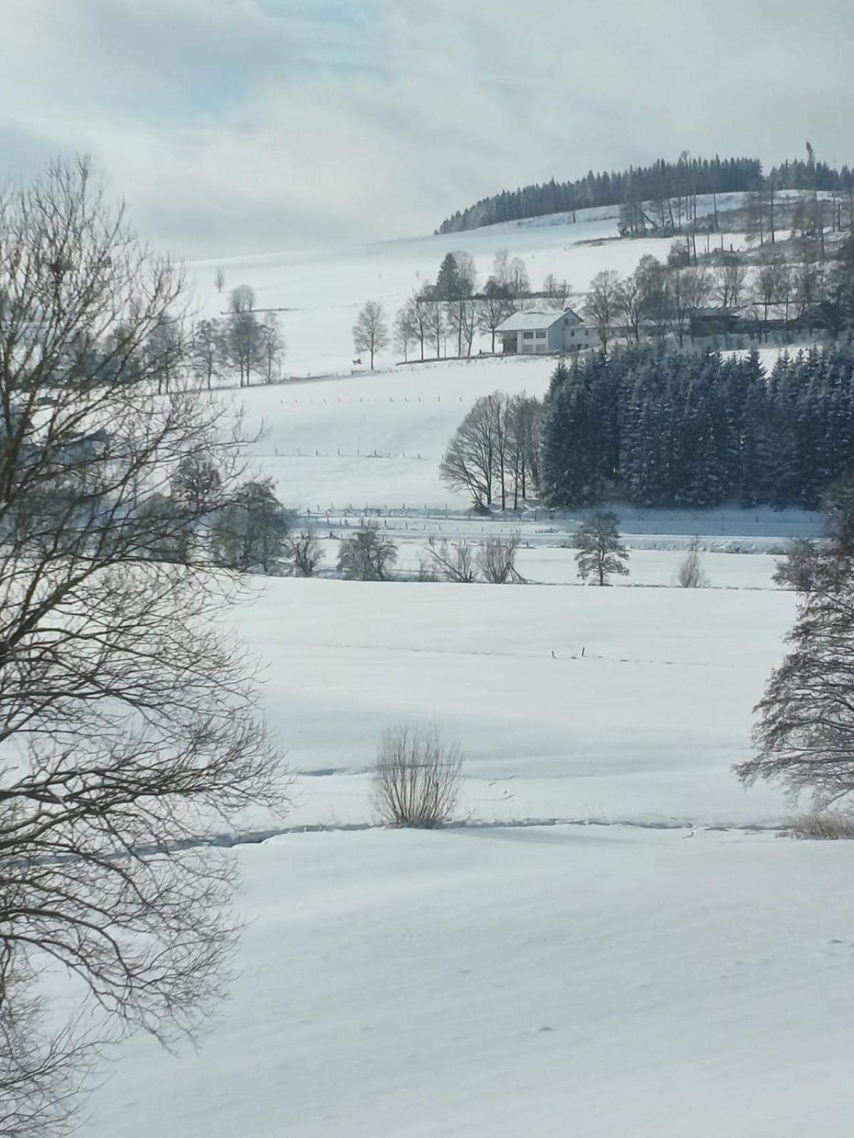 Ferienhaus Birkelbach
