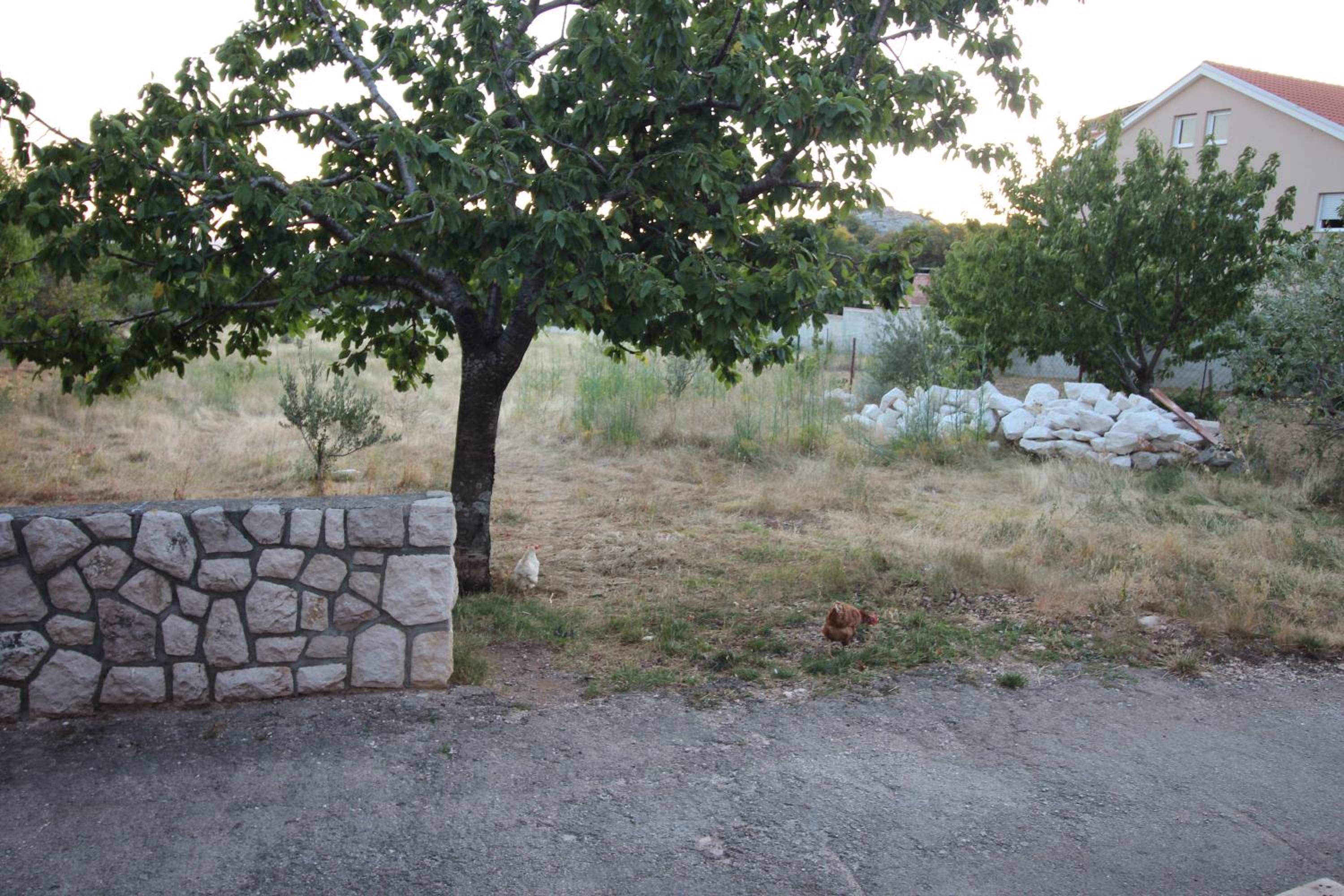 Photo 45