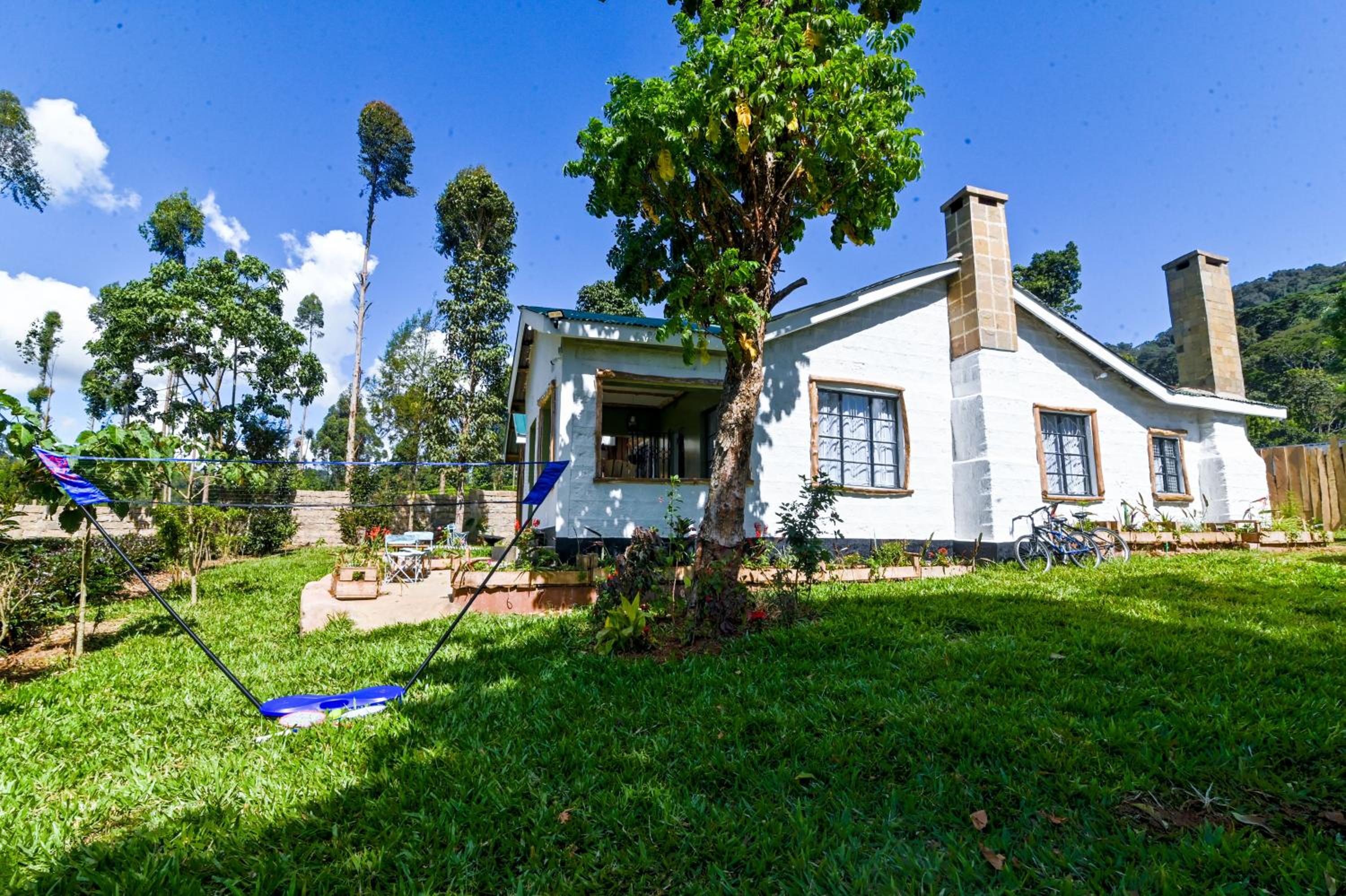 Kitanda Msituni