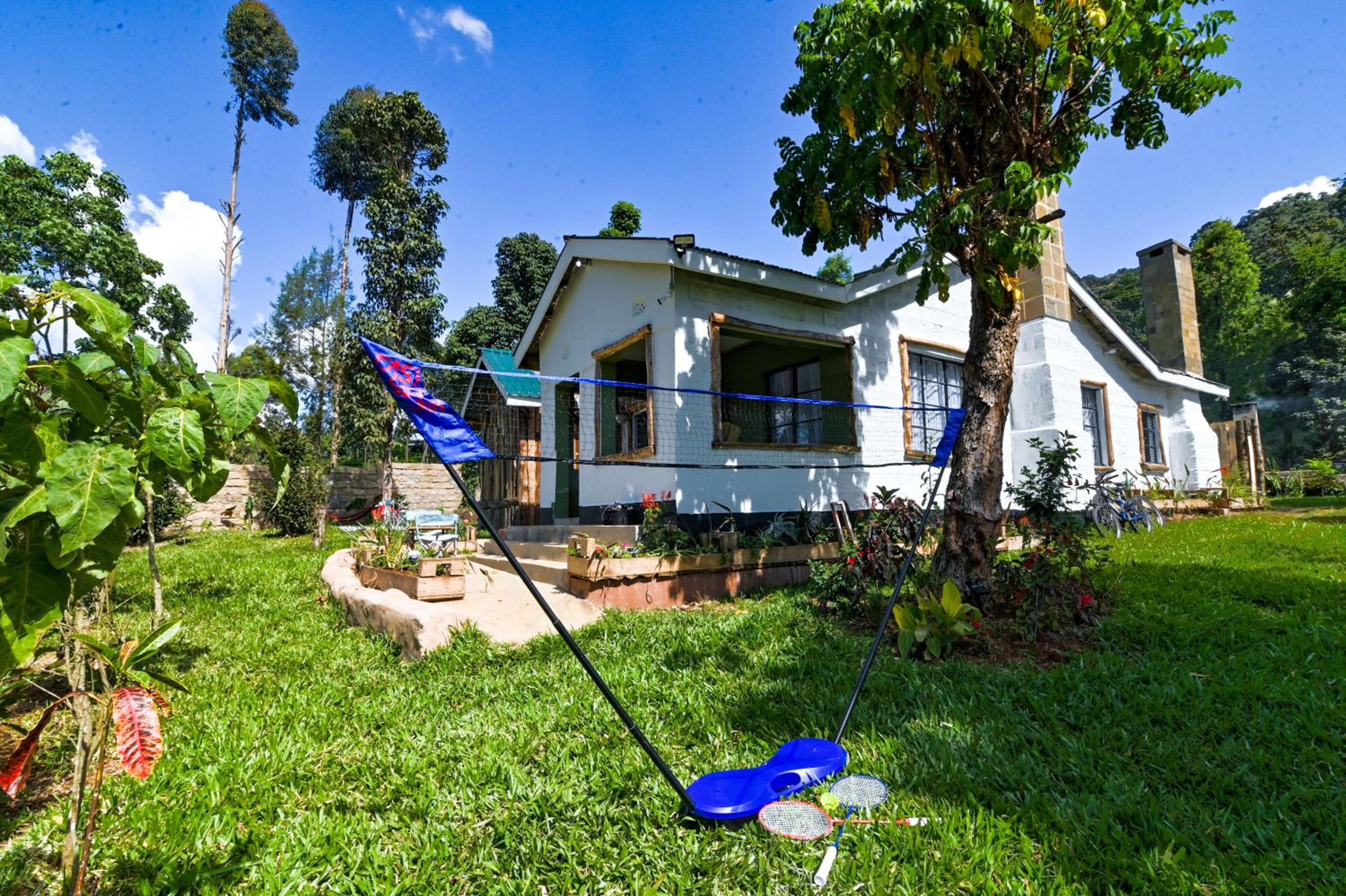 Kitanda Msituni