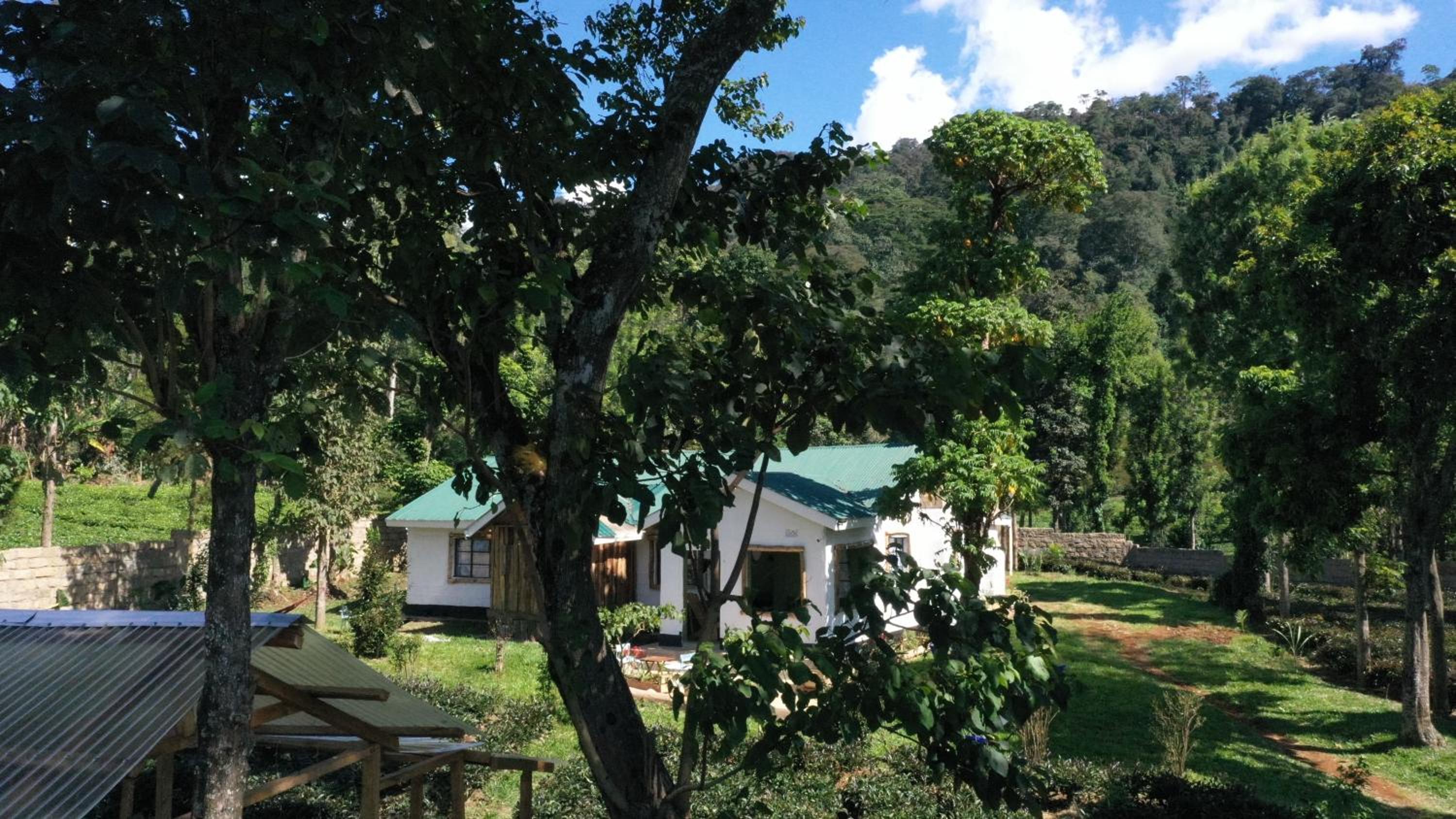 Kitanda Msituni