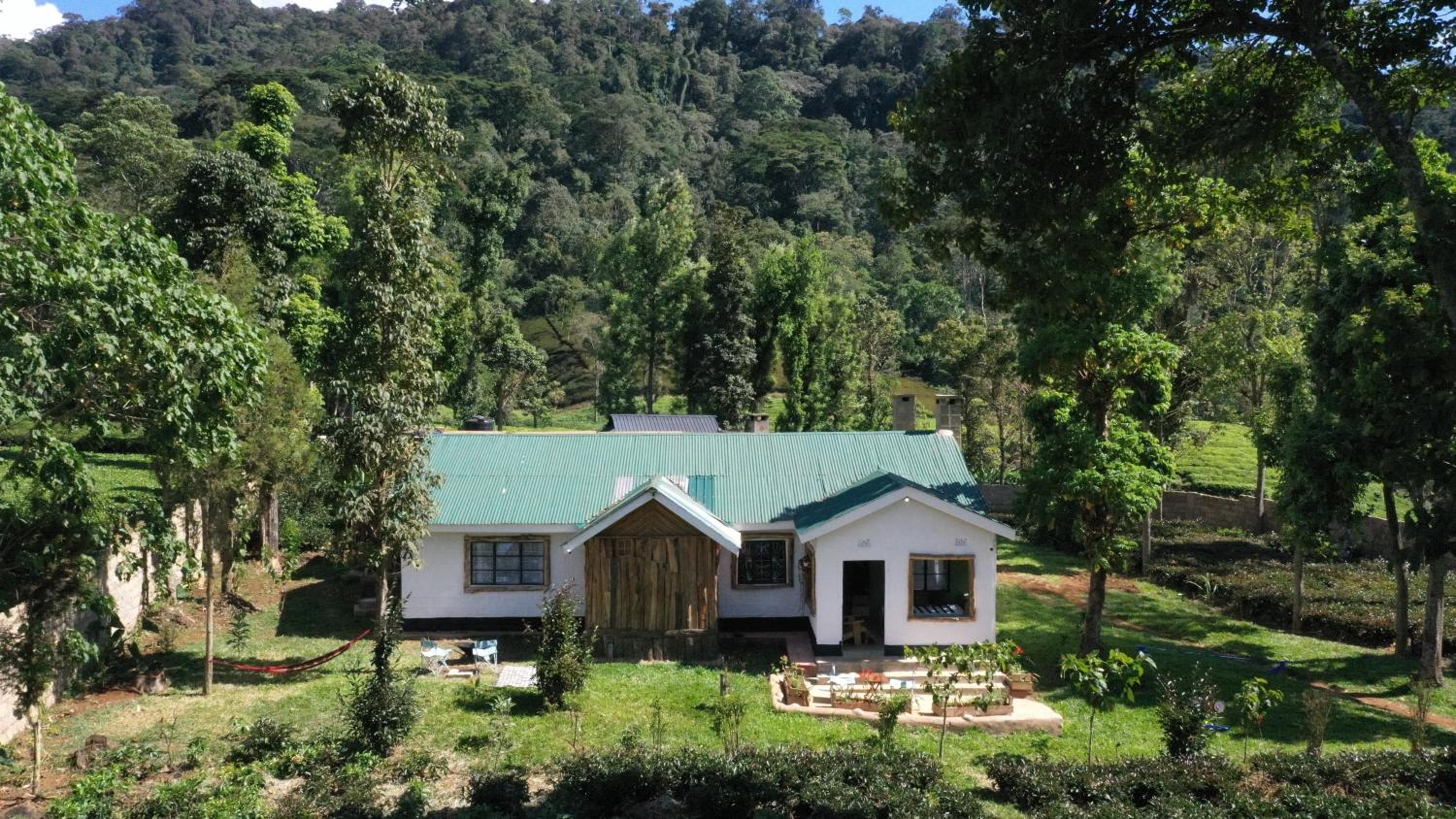 Kitanda Msituni