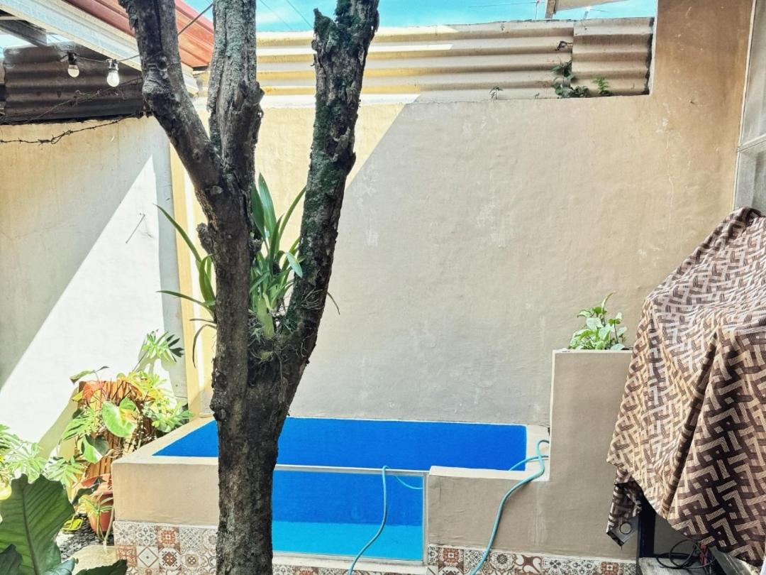 SEBASTIAN'S PLACE BUKIDNON HOMESTAY Unit 2 Whole House with 4 bedrooms Near Dahilayan view 4